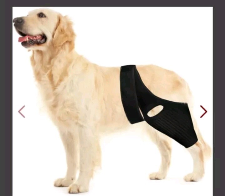 Knee Brace for Dogs ACL with Side Stabilizers,Knee Cap Dislocation,Arthritis (L)