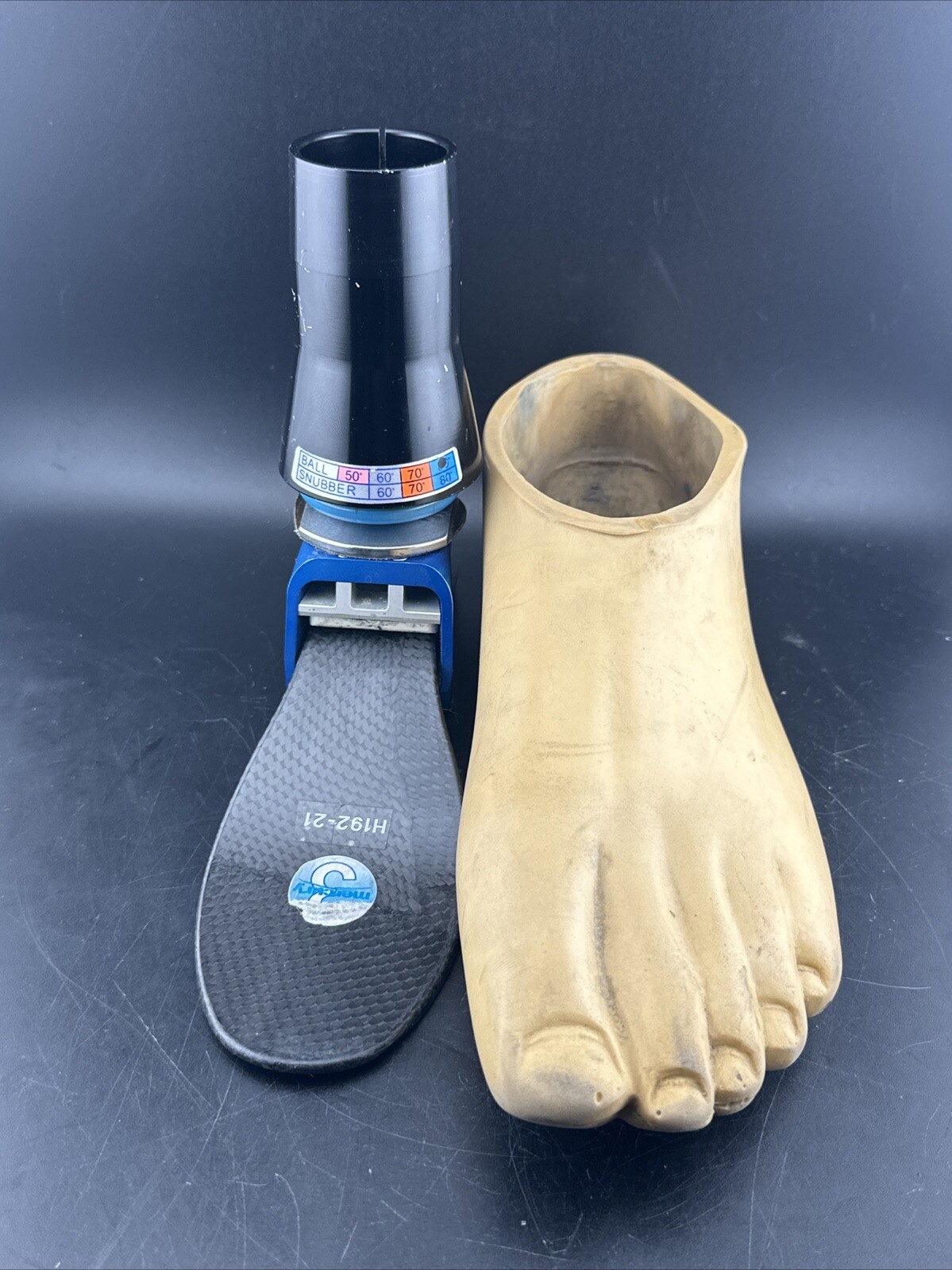Endolite Blatchford Multiflex Multi-flex Style Prosthetic Foot.