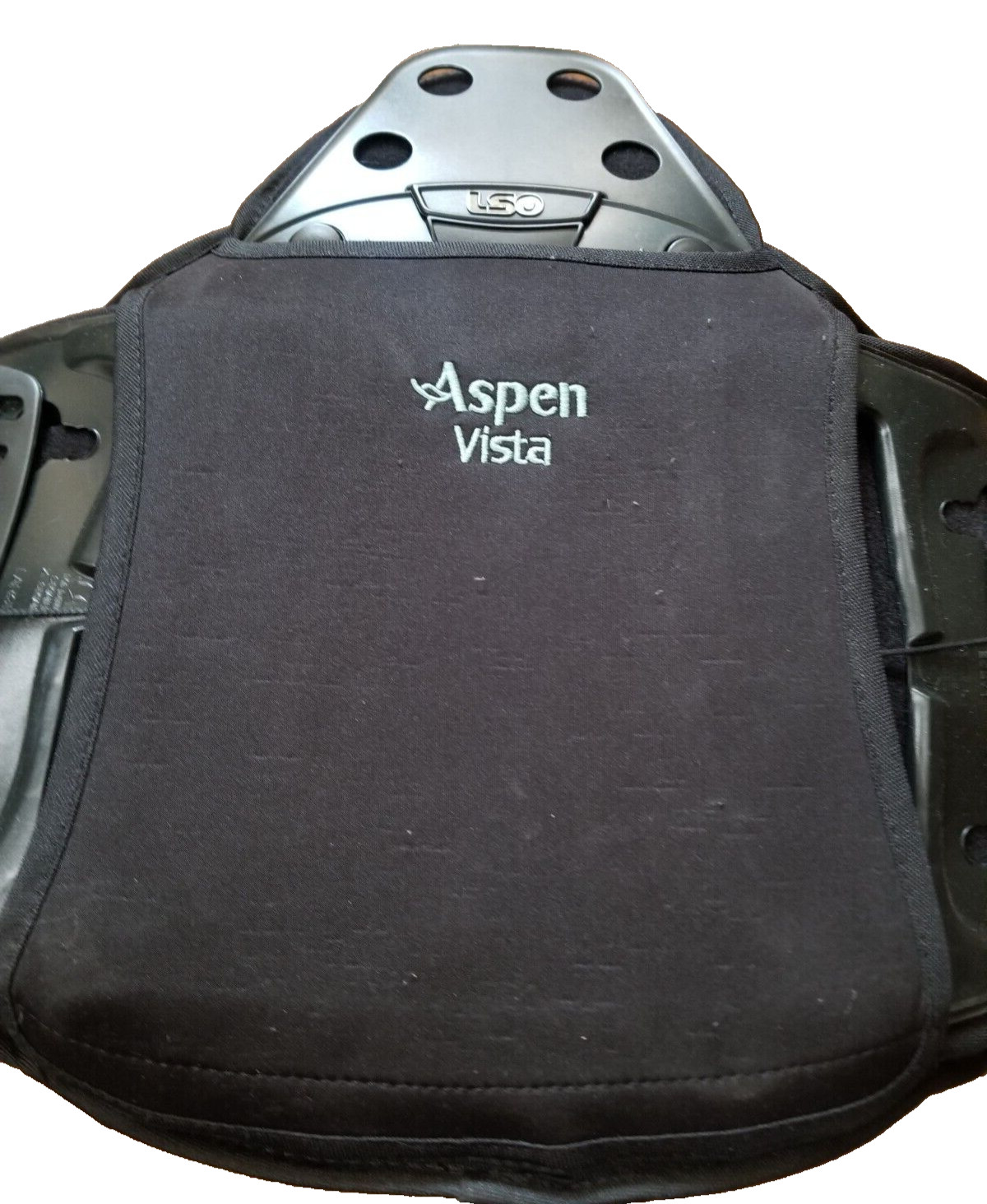 Aspen Vista Adjustable Back brace