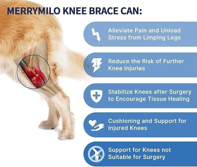 Adjustable Dog Knee Brace for Torn ACL & CCL Support – Arthritis Pain Relief, Du
