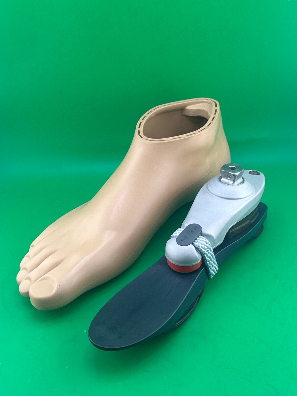 Ottobock Otto bock 1m10 prosthetic foot, size 27, category 2. Right shell
