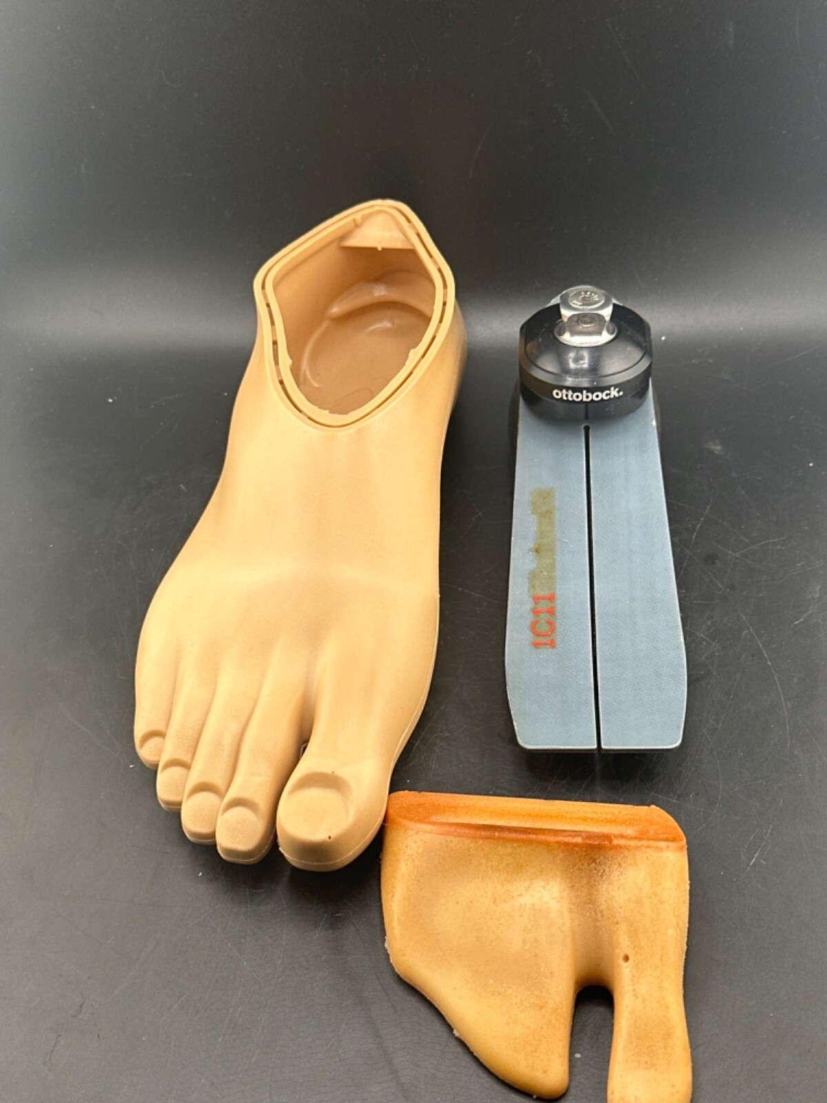OTTOBOCK Otto Bock Terion 1c11 prosthetic foot right shell size 28 category 3