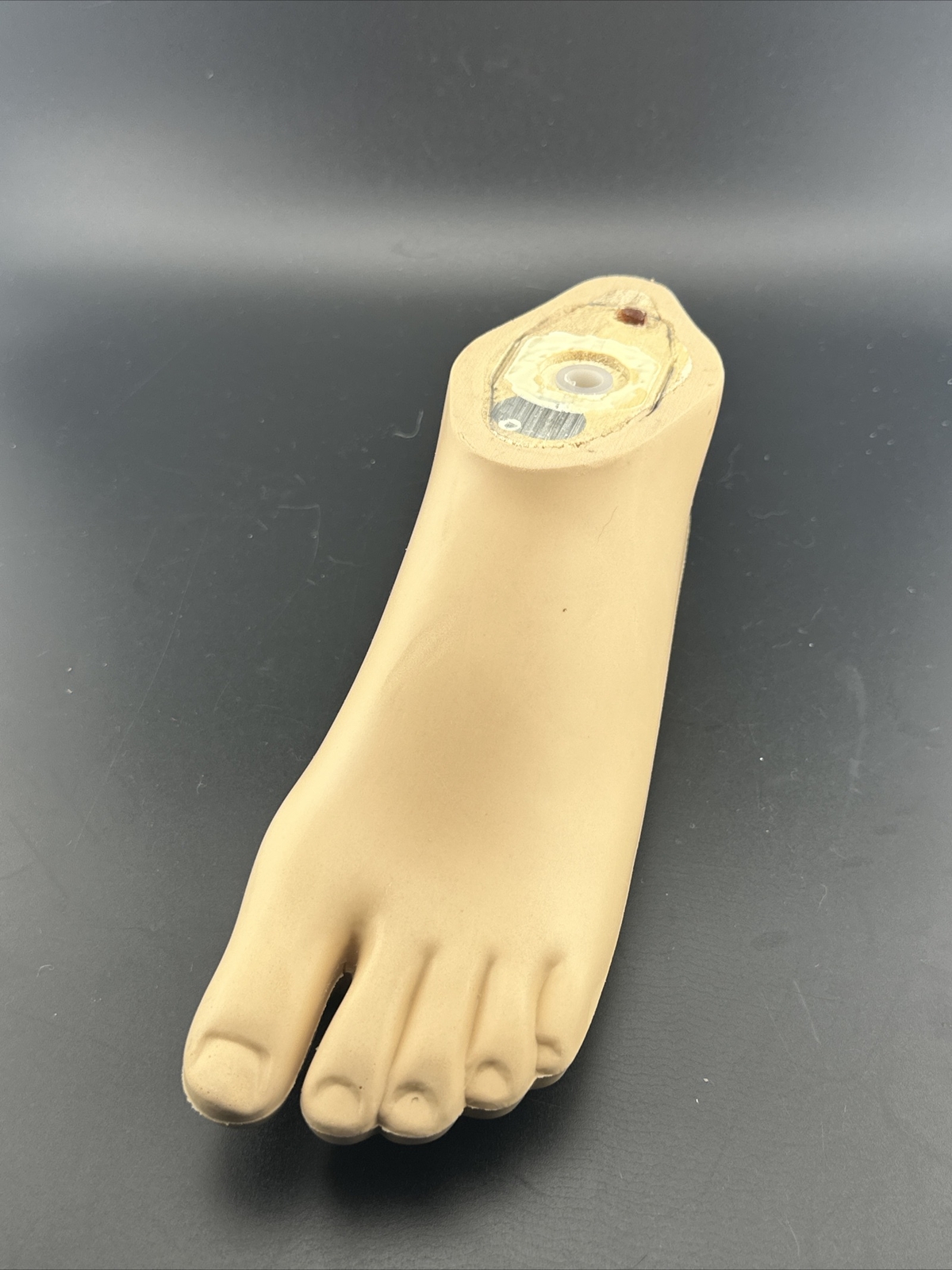 OTTOBOCK Otto Bock 1D11 Sach Prosthetic Foot. Left Foot. Size 22