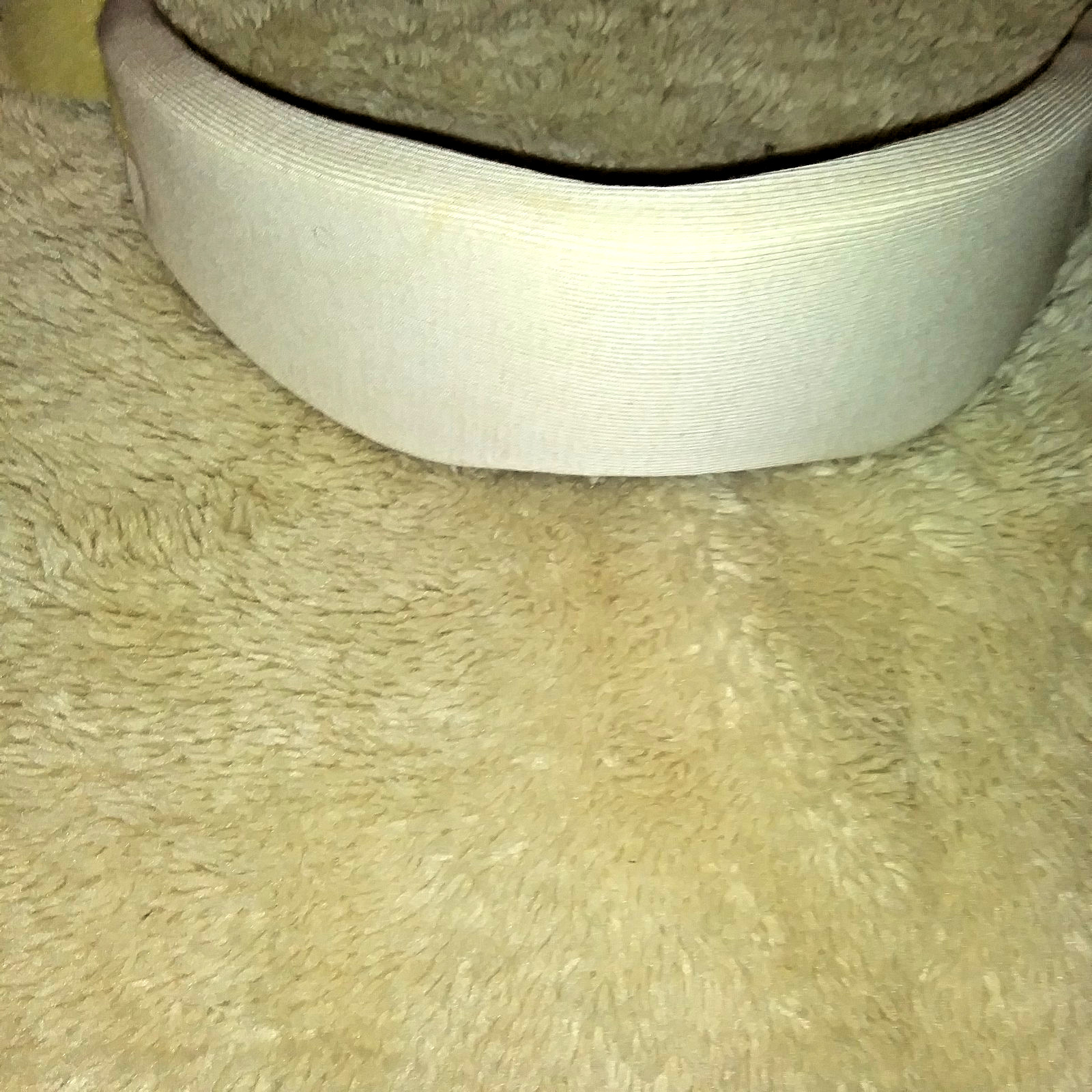 breg cervical soft collar Large