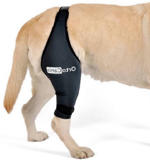 Orto Canis Dog Knee Brace – Size XXL – Left Leg – New in Package