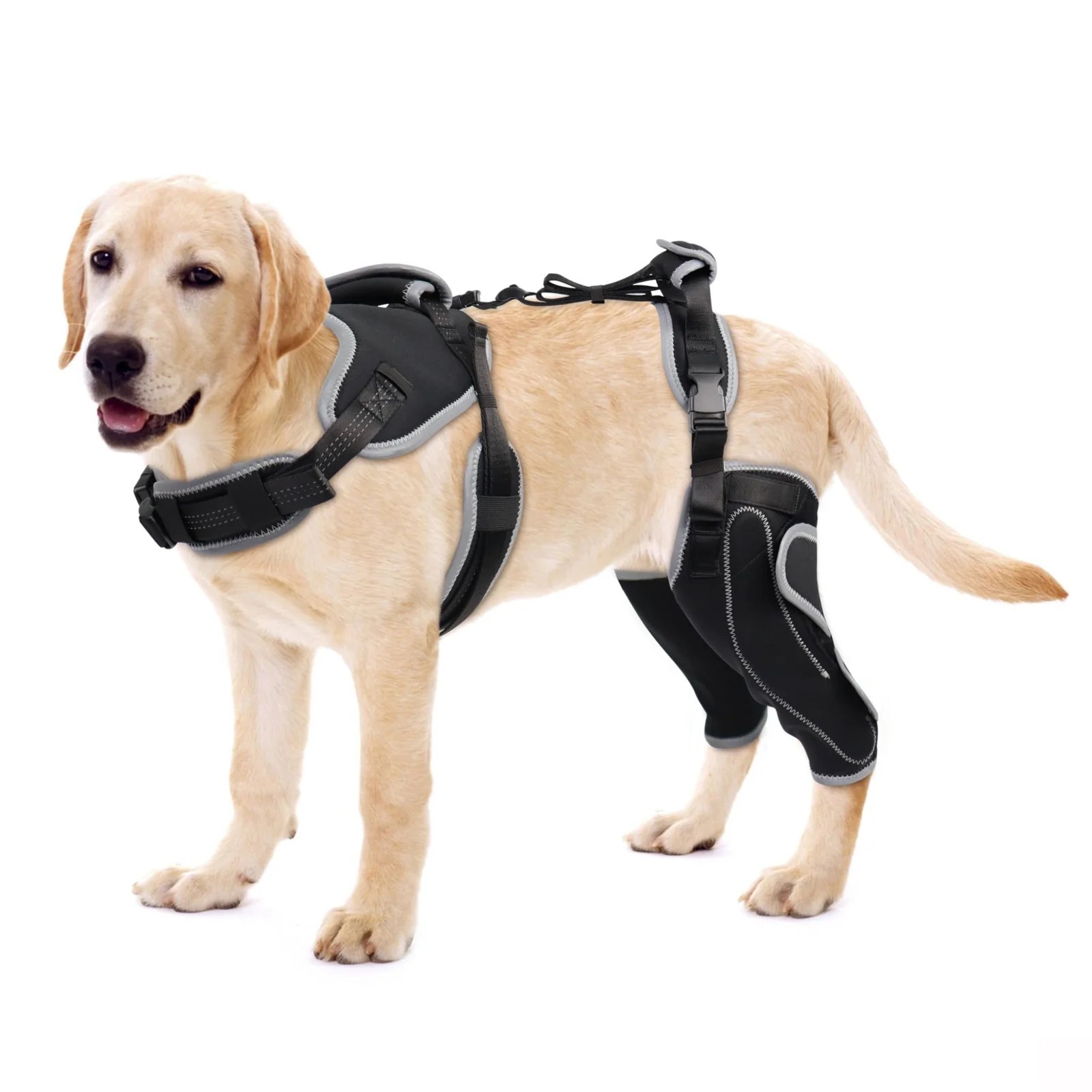 NEW – LISPOO Adjustable Knee Brace for Dogs Back Leg With Metal Splint, LARGE