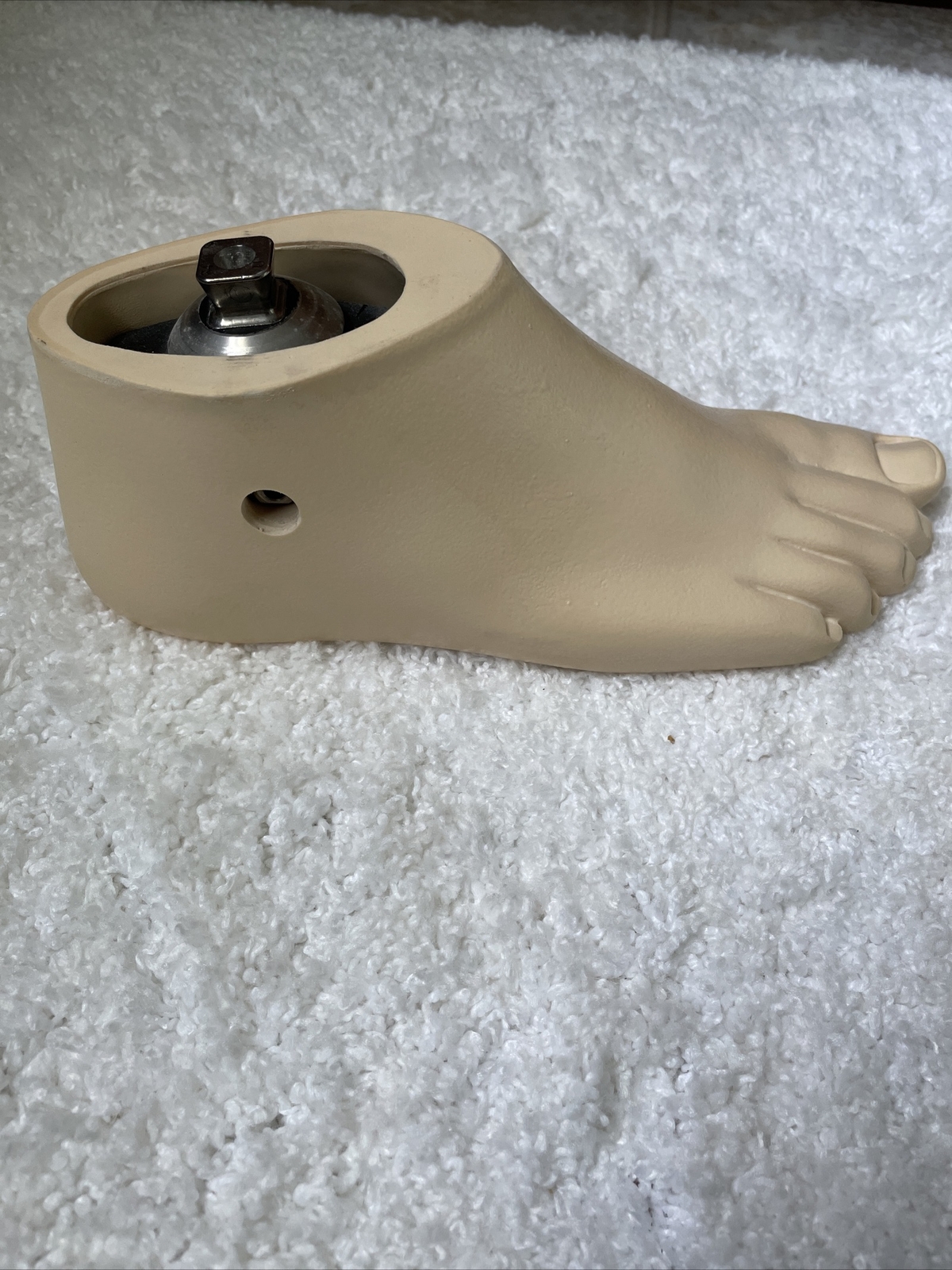 Willow Wood Right Single Axis Prosthetic Foot ~ Sz 25