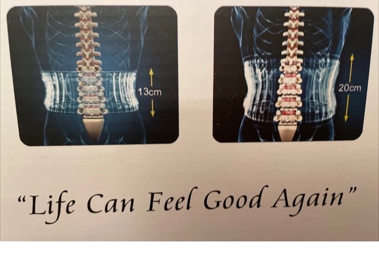 NEW! Z-Grav Spinal Decompression System Lumbar Belt For Back Pain Relief Sz. Lg