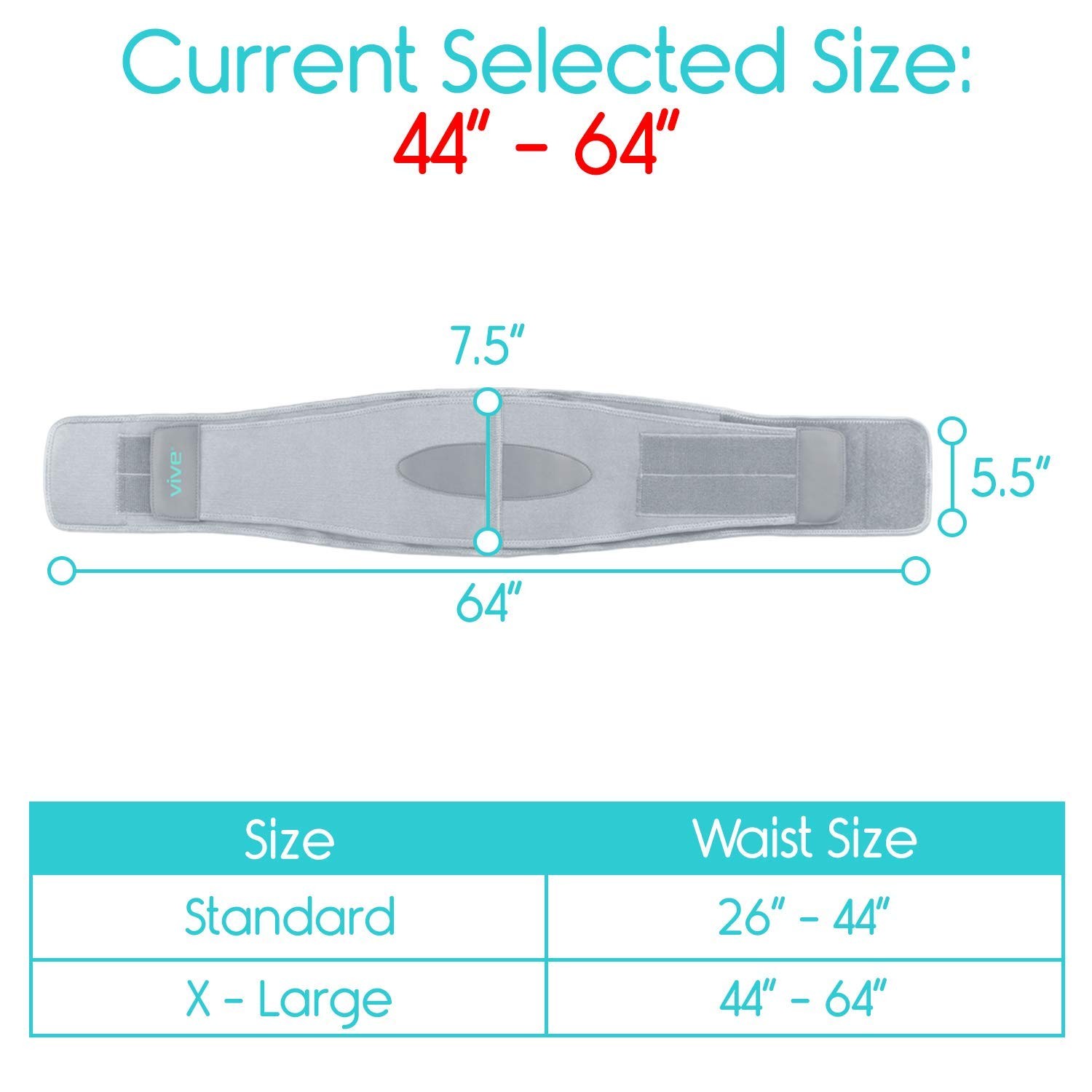 Vive Lower Back Support Brace for Men & Women – Waist Size (44″ to 64″), Gray