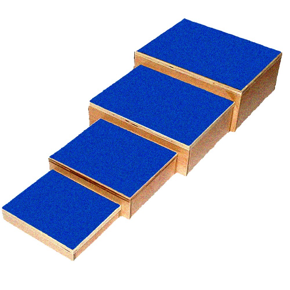 Therapy Steps – Carpet