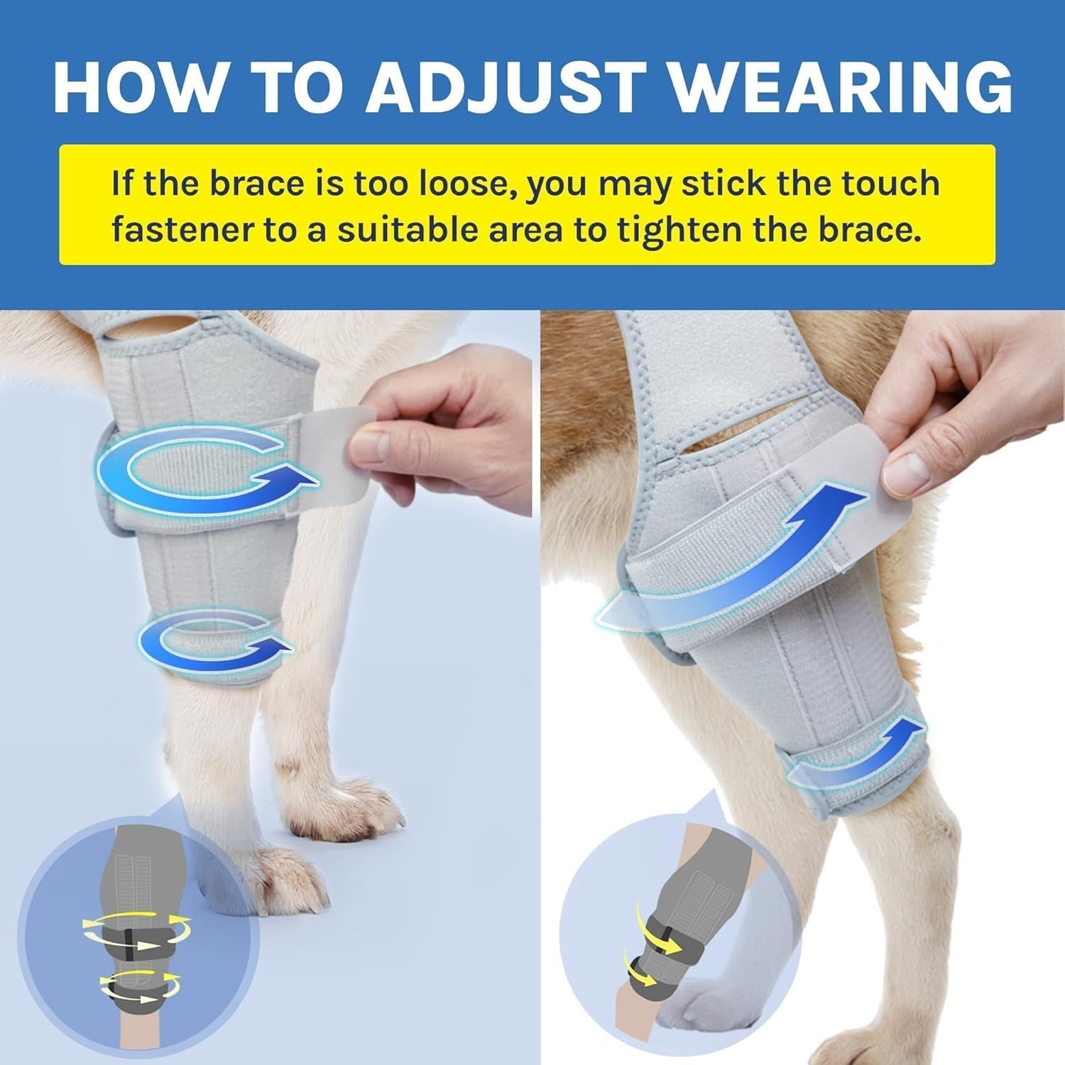 Hind Leg Dog Knee Brace – ACL Support, Cruciate Ligament & Arthritis Relief, XL