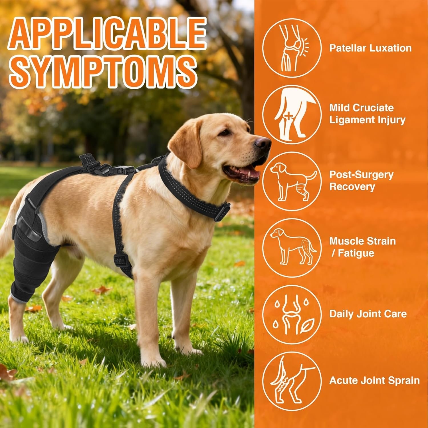 Large Dog Brace for Back Leg for Support – Breathable Adjustable Dog ACL Knee Br