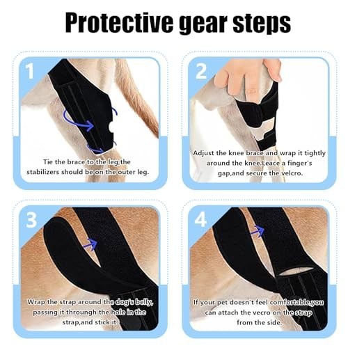 Adjustable Dog Knee Brace for Torn ACL/CCL – Hind Leg Support, Arthritis Relief,