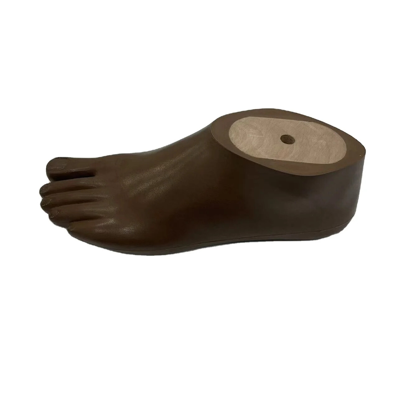 SACH Prosthetic Foot – Size 12-30cm | Artificial Limb Replacement | Brown
