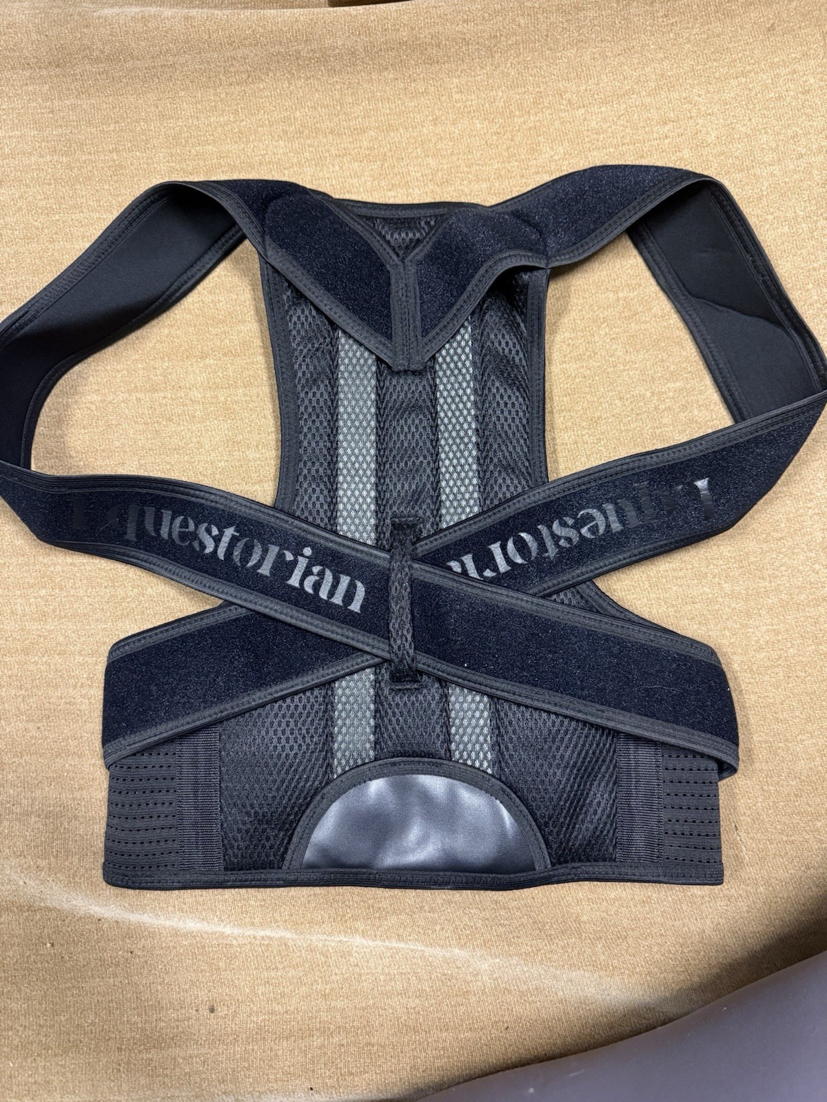 Equestrian Adjustable Back Brace for Posture Support, Size M, Black