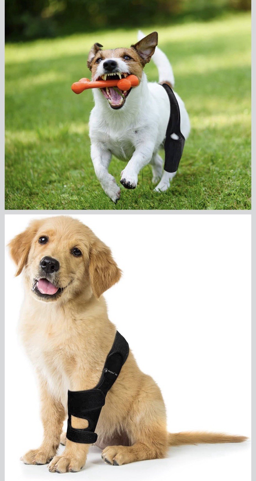 Knee Brace for Dogs ACL with Side Stabilizers,Knee Cap Dislocation Arthritis XXL