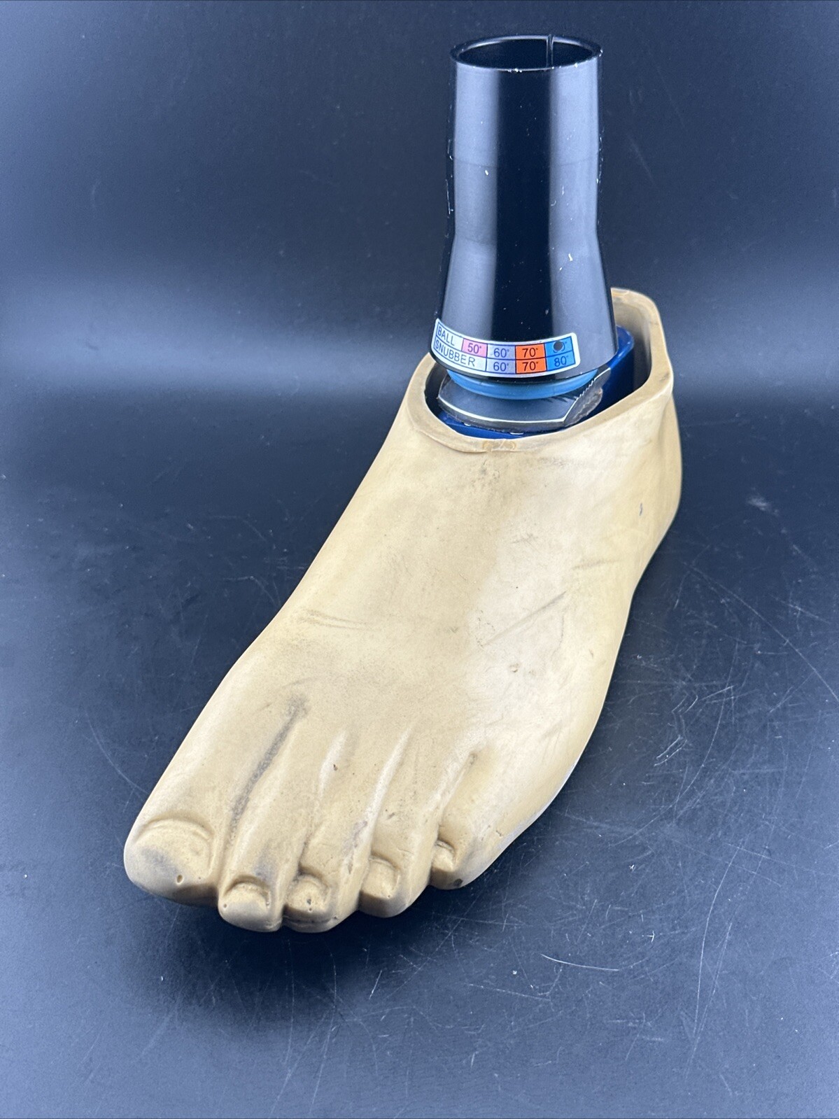 Endolite Blatchford Multiflex Multi-flex Style Prosthetic Foot.