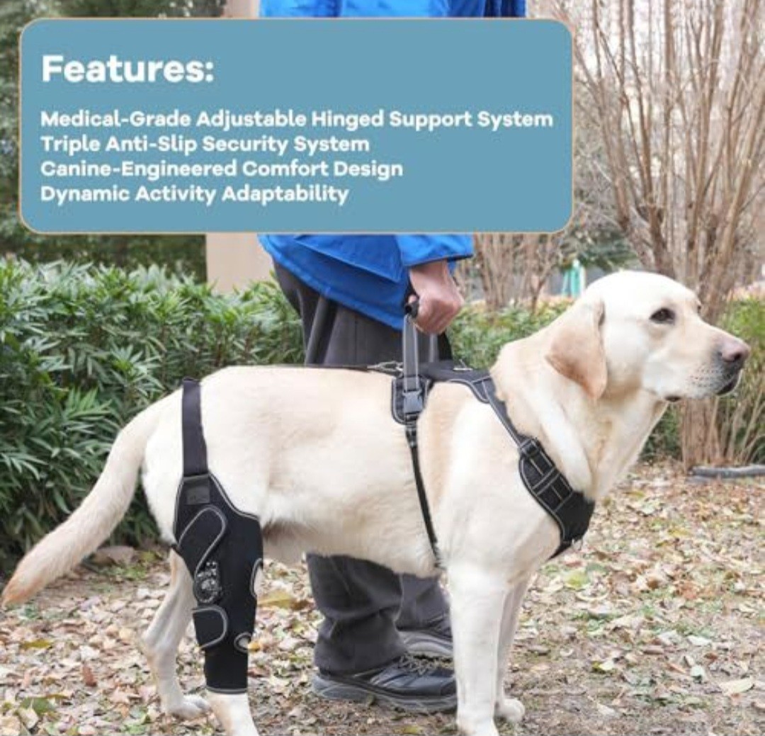 FurWell Dog Knee Brace ACL CCL Recovery Support Both Legs M
