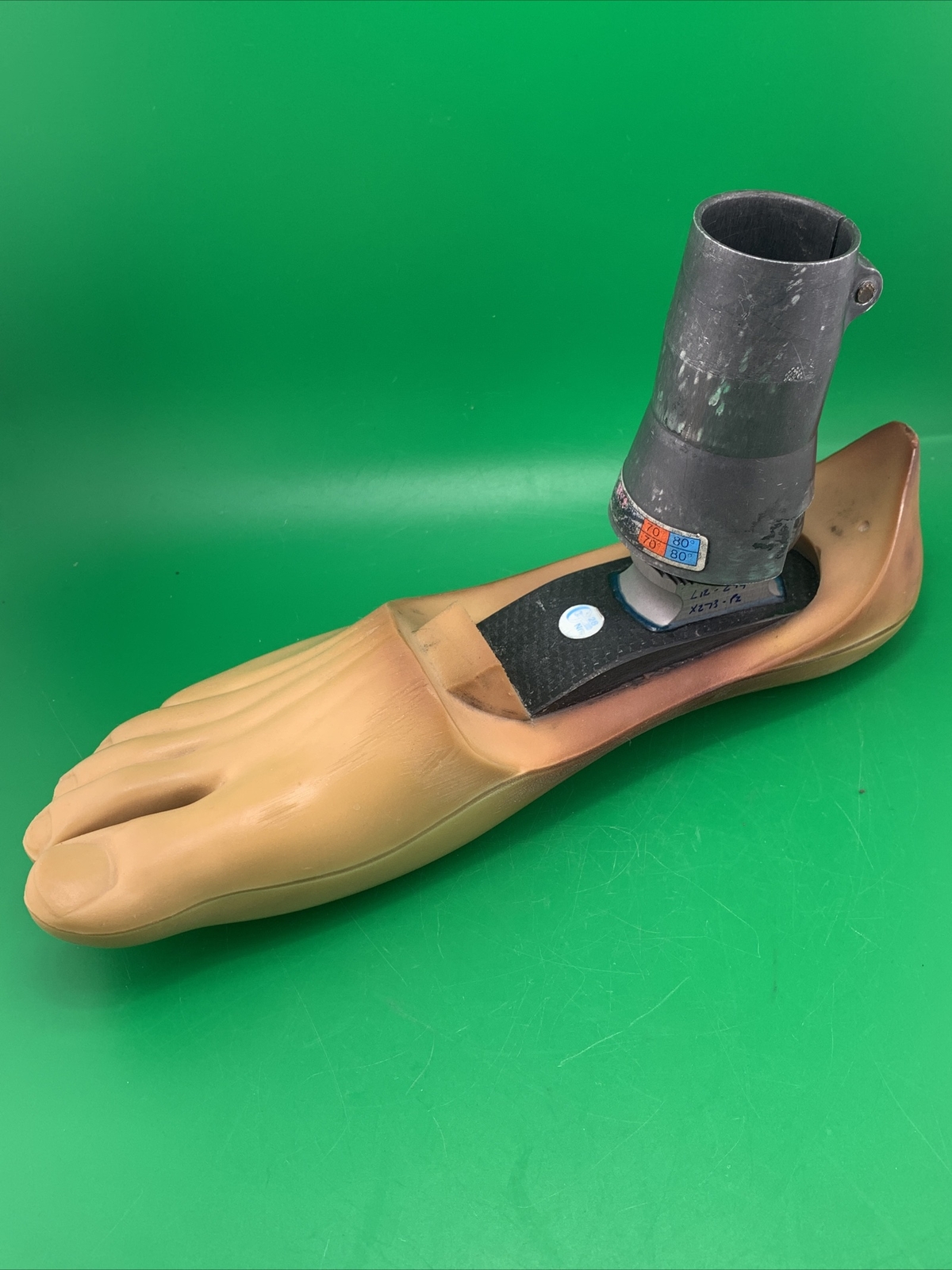 endolite blatchford multiflex prosthetic foot and Ankle. Right Foot, size 27