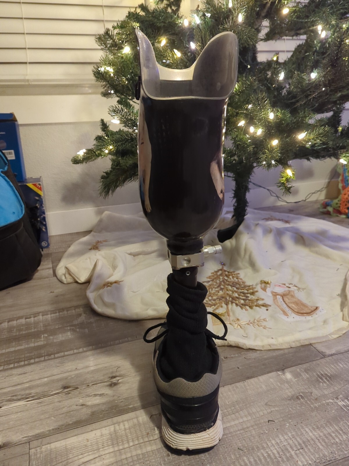 prosthetic leg