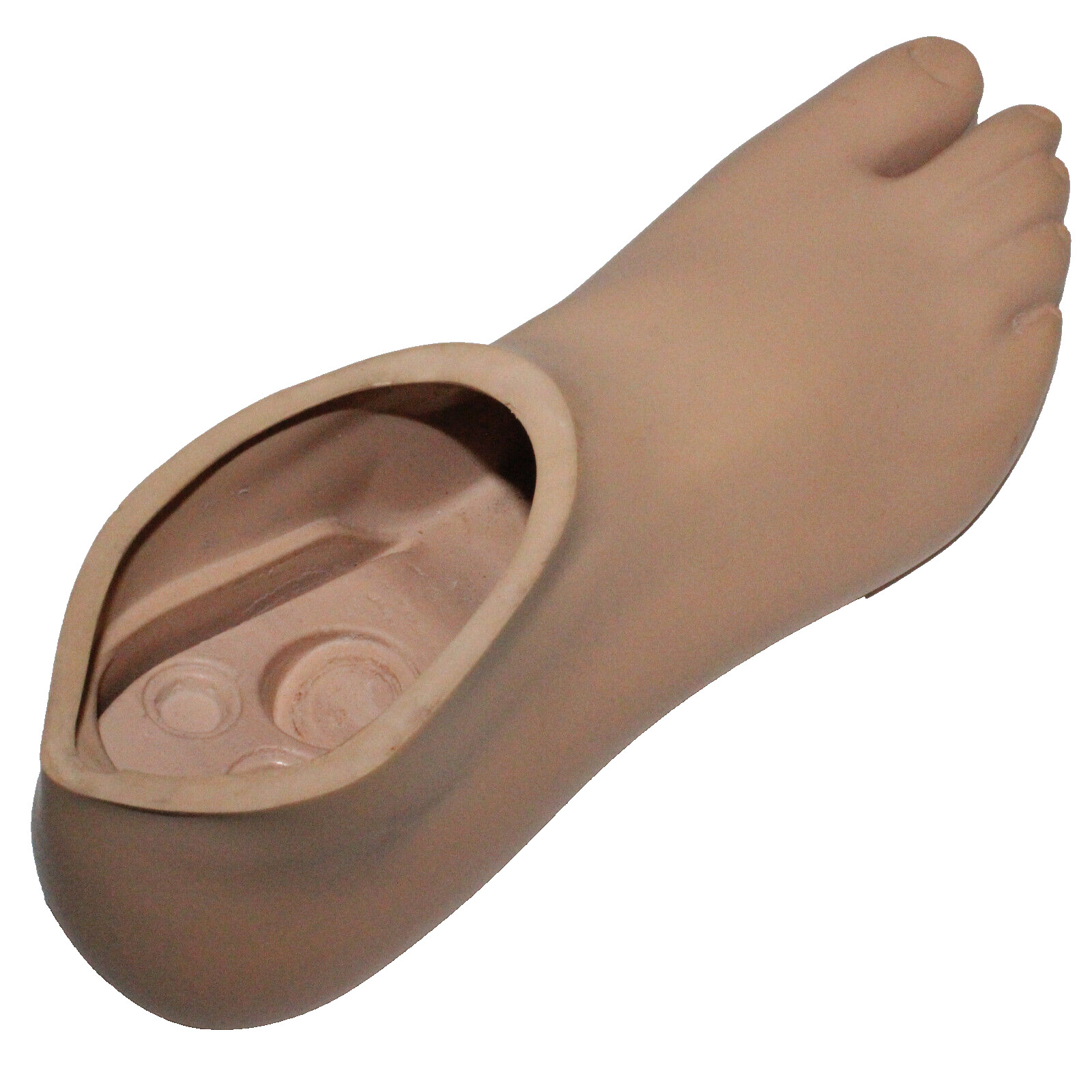 MINT COLLEGE PARK CPI BREEZE RIGHT SANDALTOE PROSTHETIC FOOT SHELL DRAIN ~ Sz 25