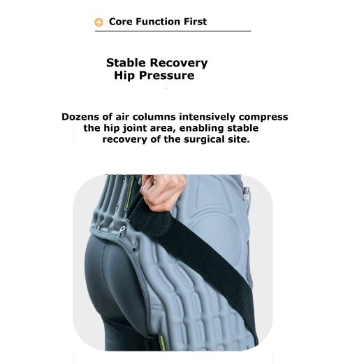 Disk Doctor Hip Joint Pelvis WC605H Hip Joint Pelvis Fixed Support