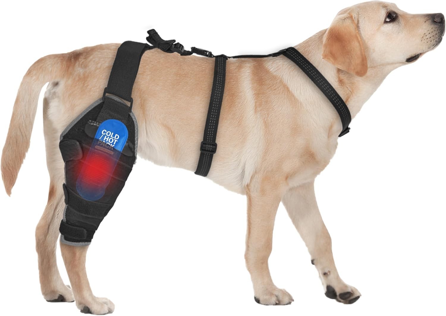 Moysoon Dog Knee Brace for Back Leg with Hot / Cold Packs