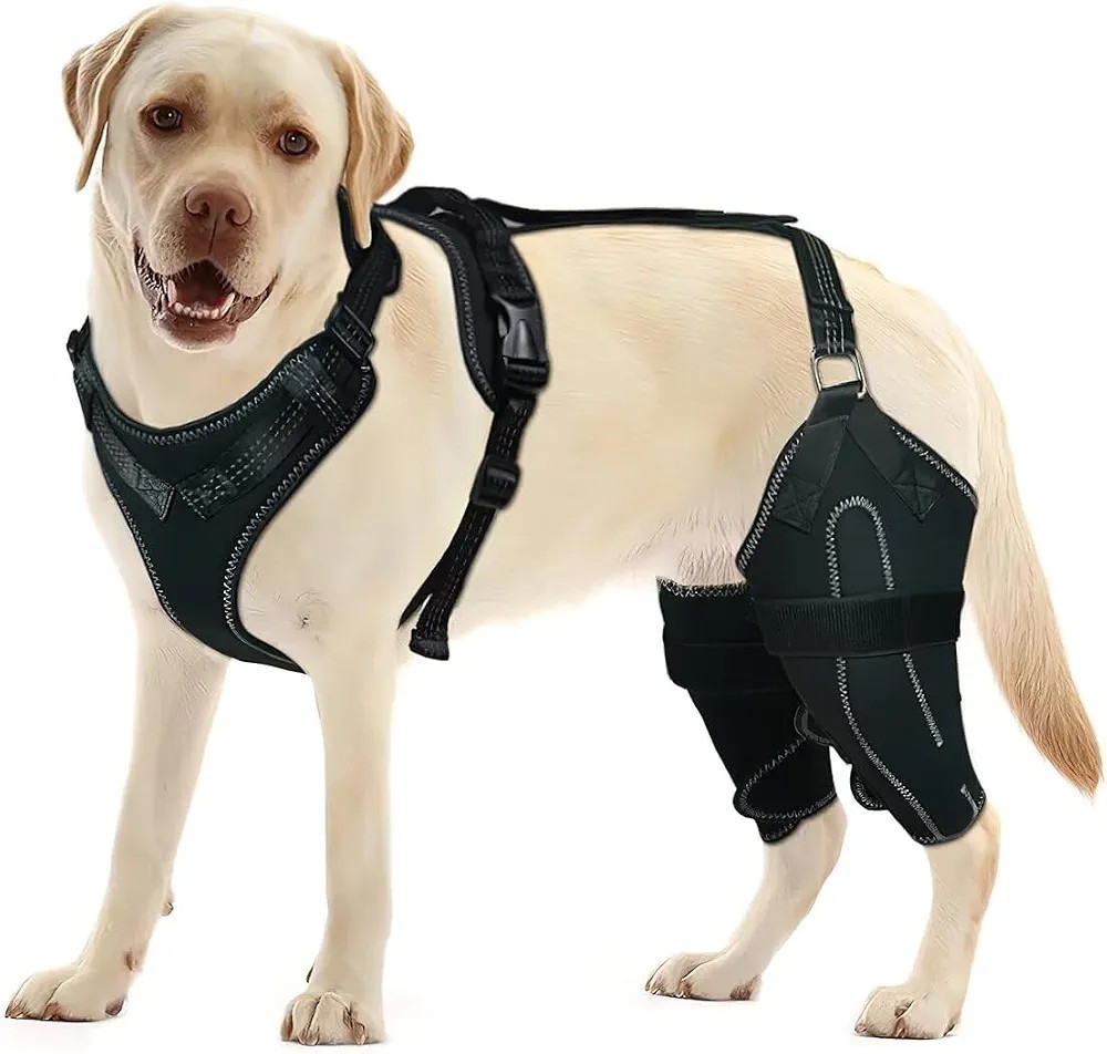 Dog Knee Brace M Torn ACL/CCL Hind Leg Adjustable Wrapping and Support Non-Slip