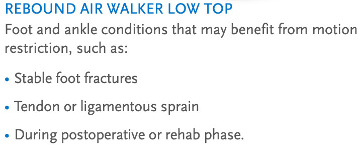 REBOUND AIR WALKER LOW TOP