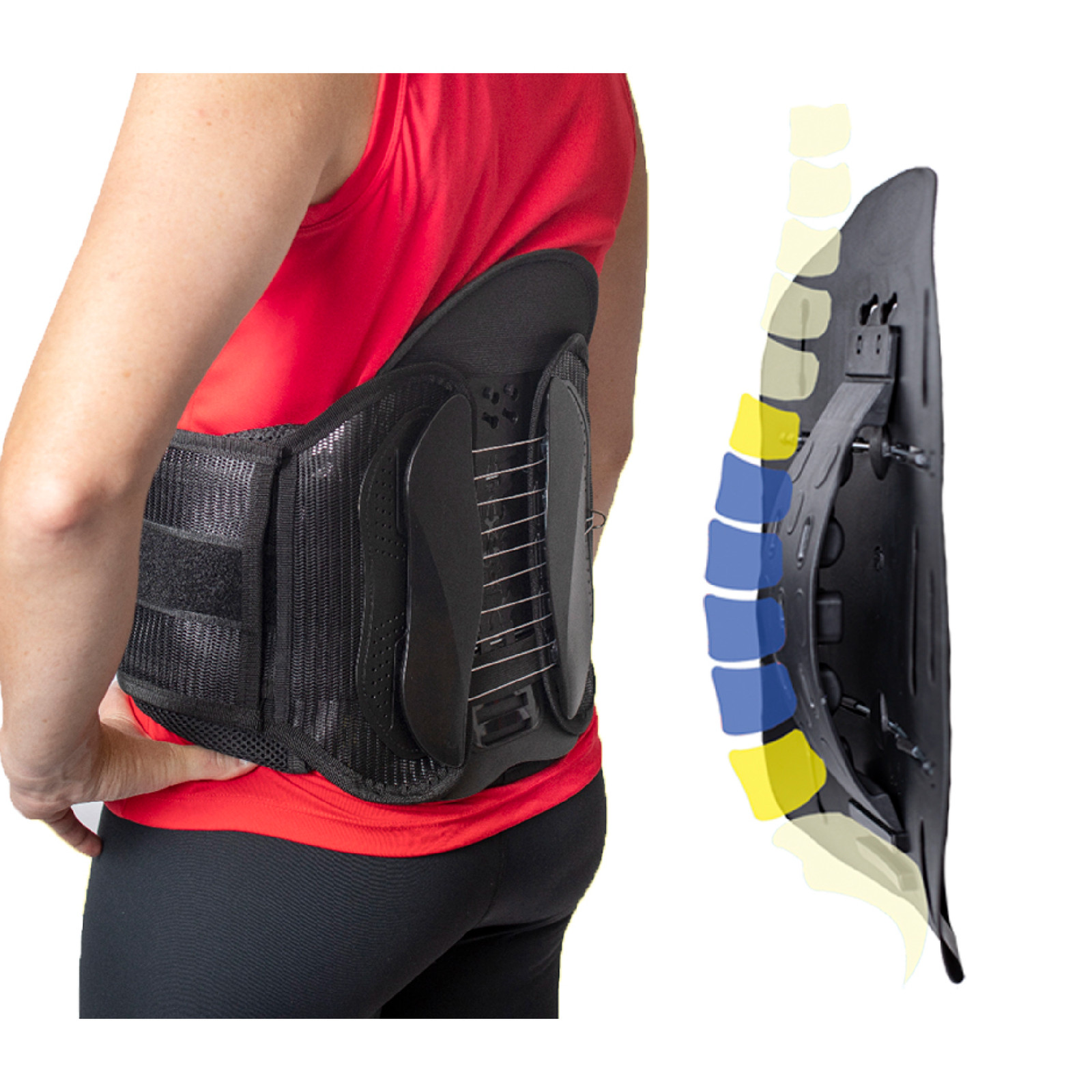 Contoured Back Brace- Lower Back Support for Pain, Sprains & Spinal Stenosis