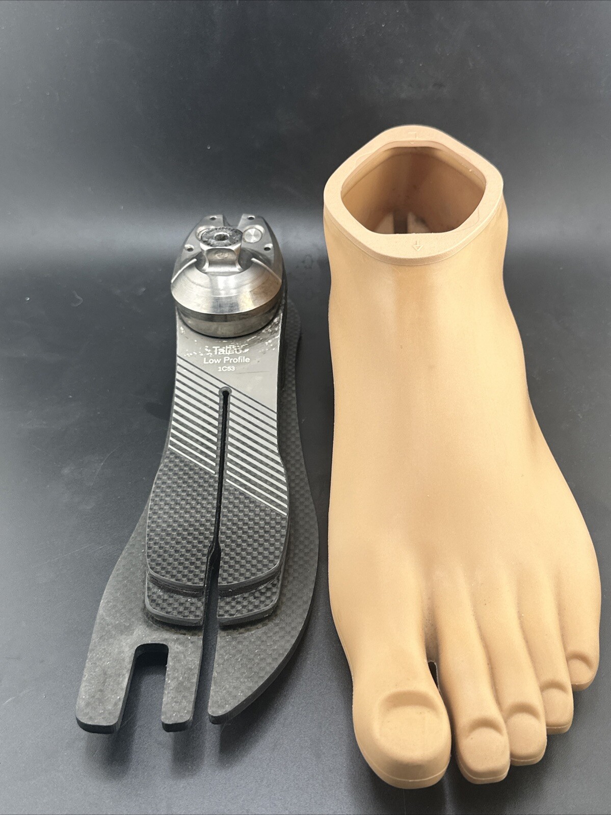 Ottobock Otto Bock Taleo LP 1C53 Prosthetic Foot. Size 28. Category 8. Left