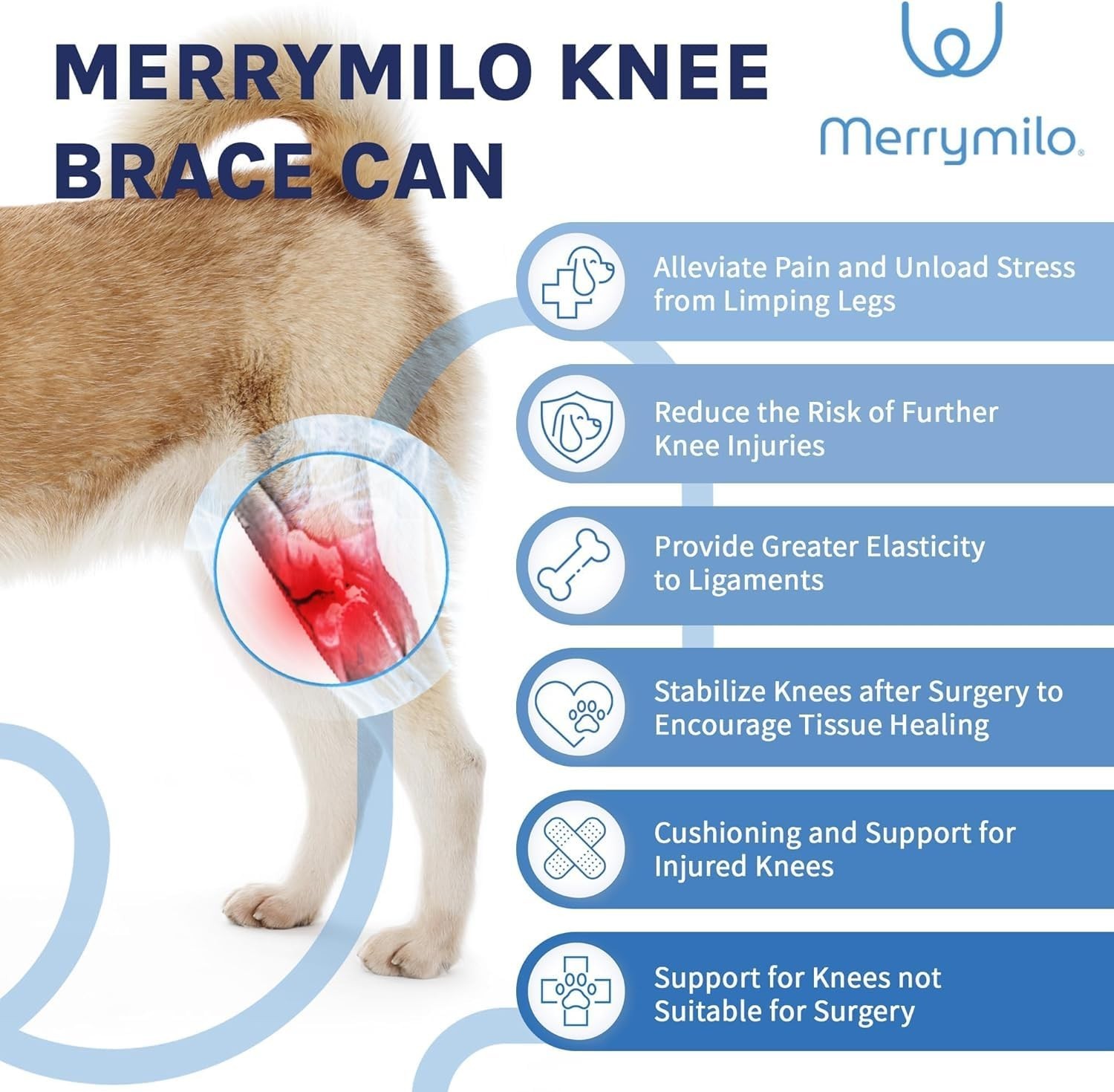 Hind Leg Dog Knee Brace – ACL Support, Cruciate Ligament & Arthritis Relief, XL
