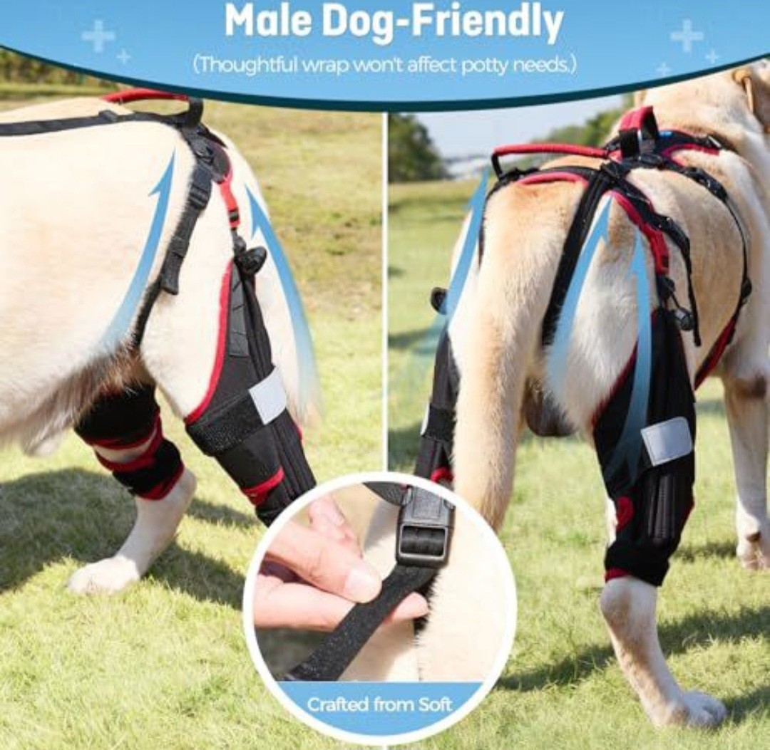 Lafoty Dog ACL CCL Knee Brace Set L Rear Leg Support w/ Handles Black