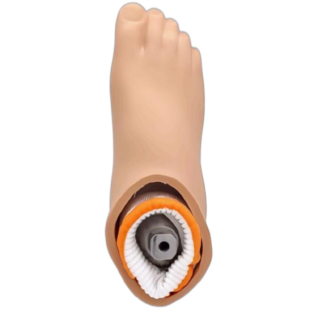 Foot shell customized size 15-29 Polyurethane （Excluding Prosthetic Foot）