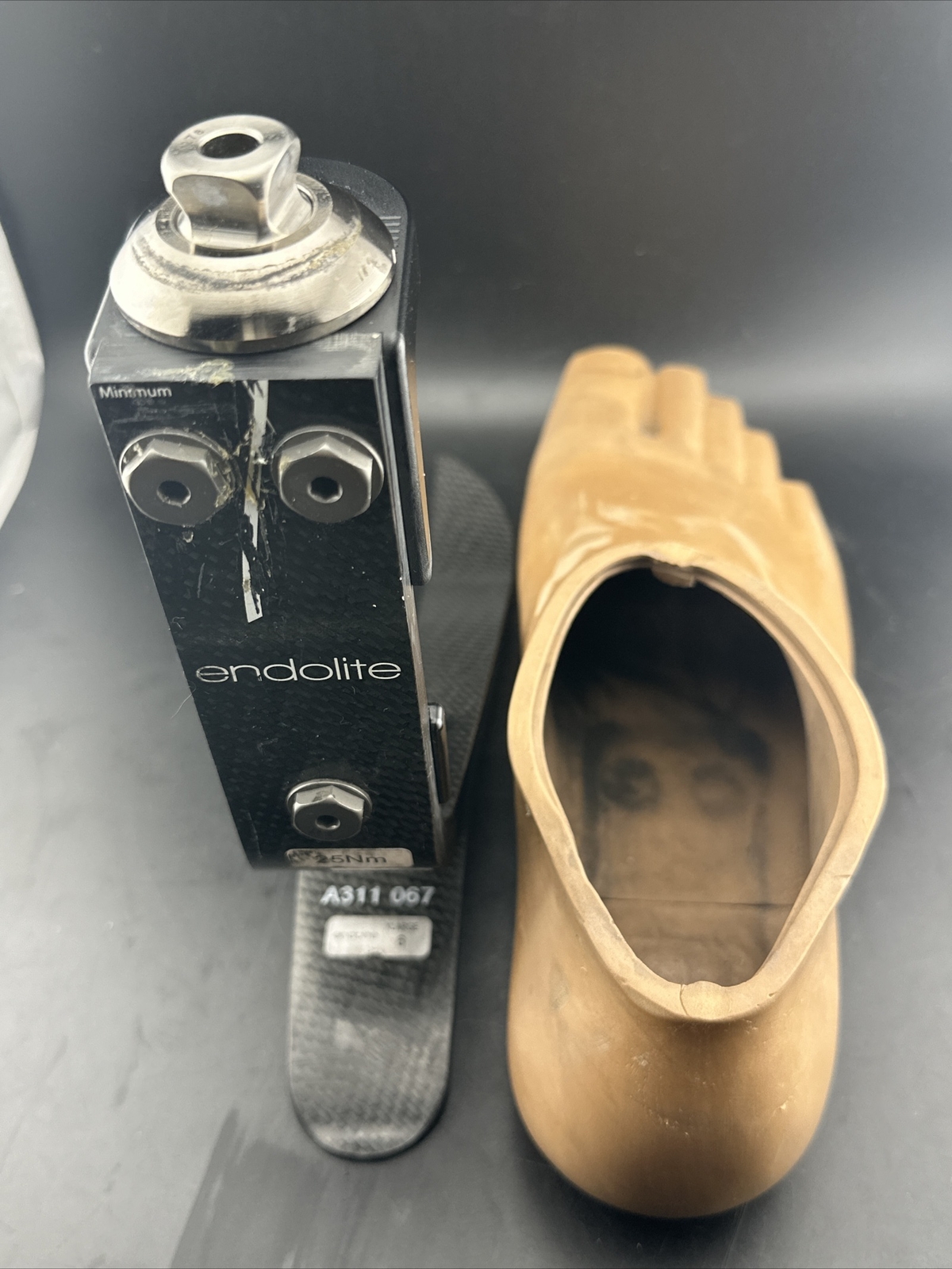 Blatchford Endolite Javalin Prosthetic Foot. Size 29. Category 29.