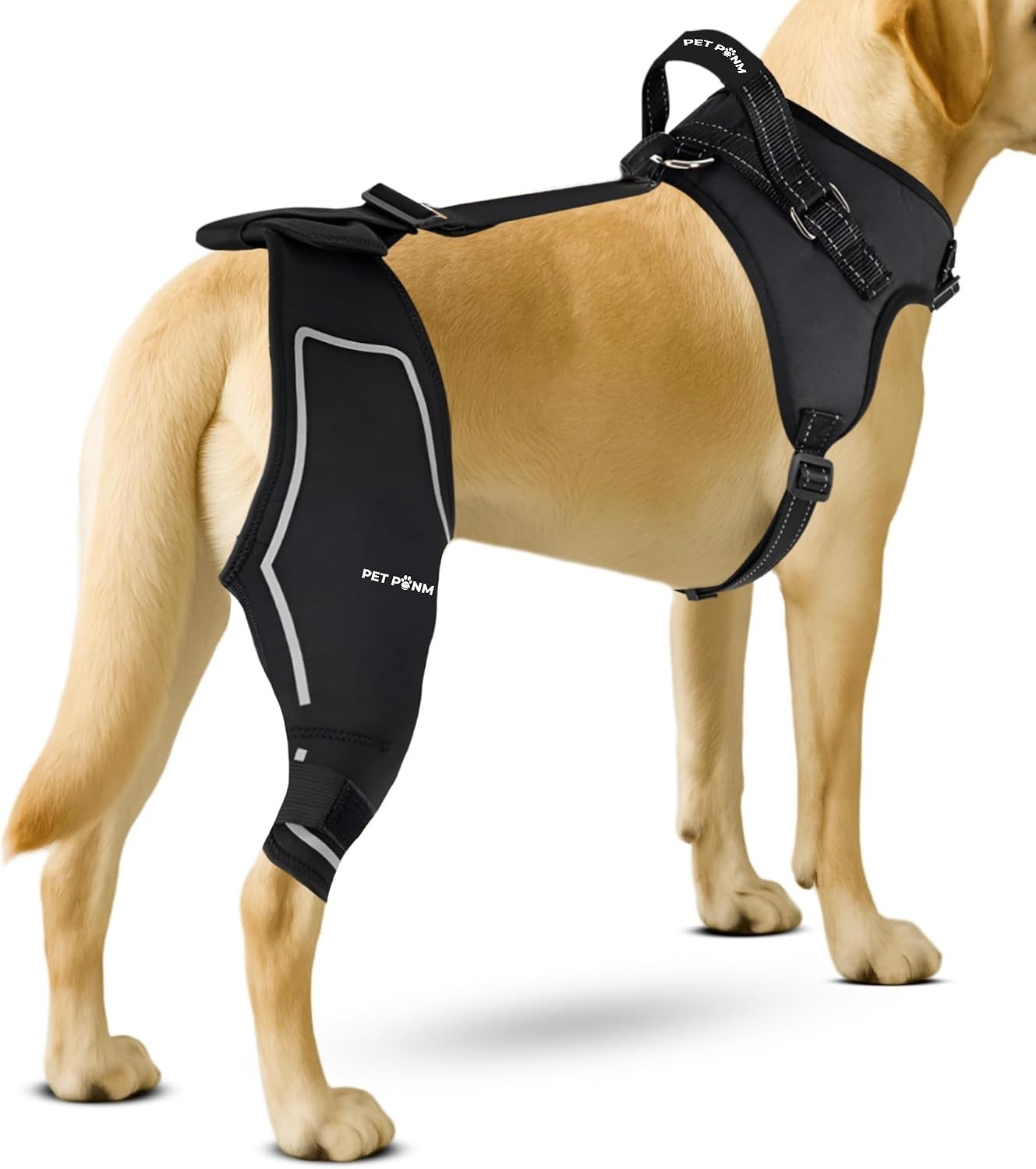 Comfortable Neoprene Dog Knee Brace with Harness – Ideal for Mobility & Recovery