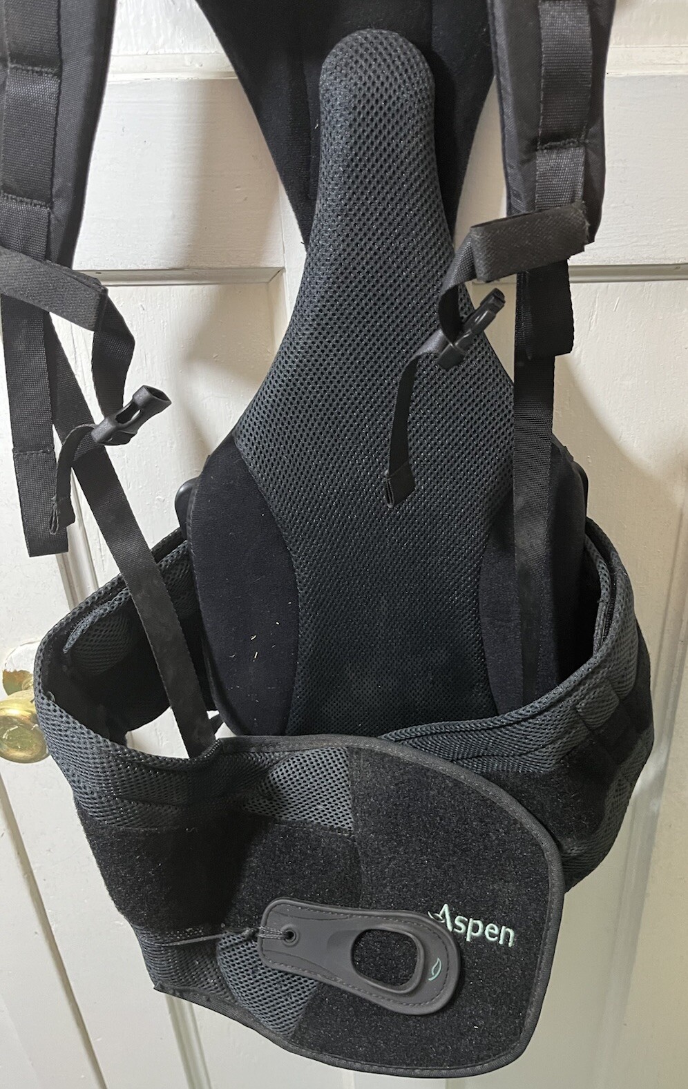 Aspen Horizon Large Back Brace Black Waist Support & Adjustable Strap Tighteners