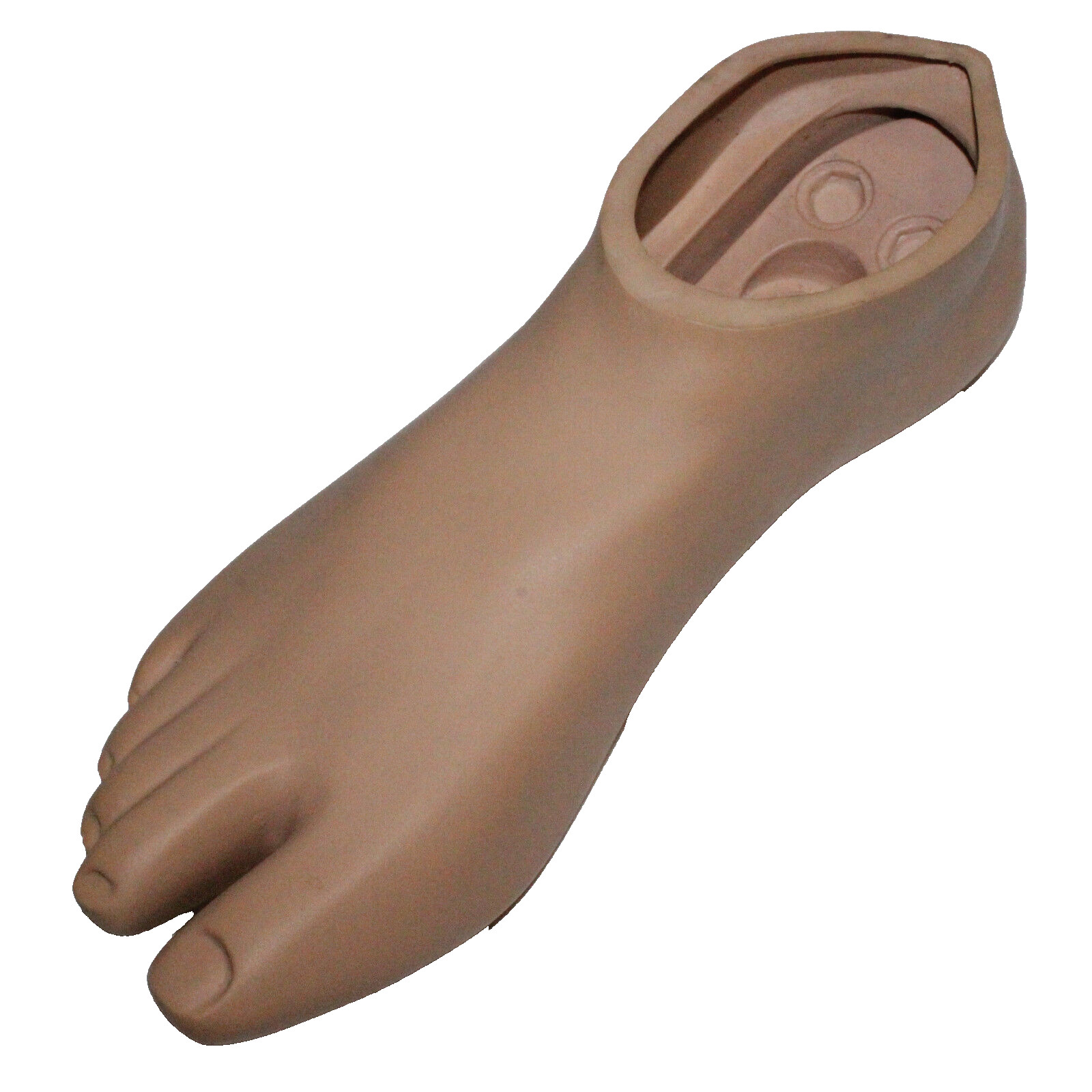 MINT COLLEGE PARK CPI BREEZE RIGHT SANDALTOE PROSTHETIC FOOT SHELL DRAIN ~ Sz 25