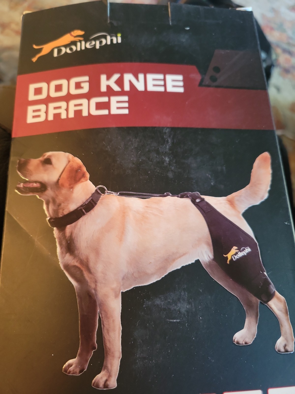 LISPOO Dog Acl Knee Brace Torn Acl Leg Luxating Patella Relieves Joint Pain L Xl