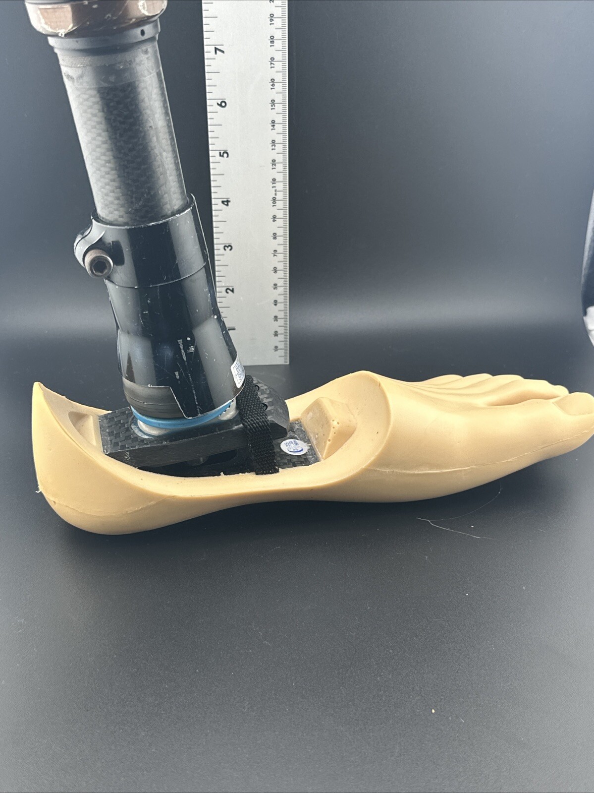 Blatchford Endolite Left Dr2 W/ Multiflex Ankle Prosthetic Foot. Left Size 26