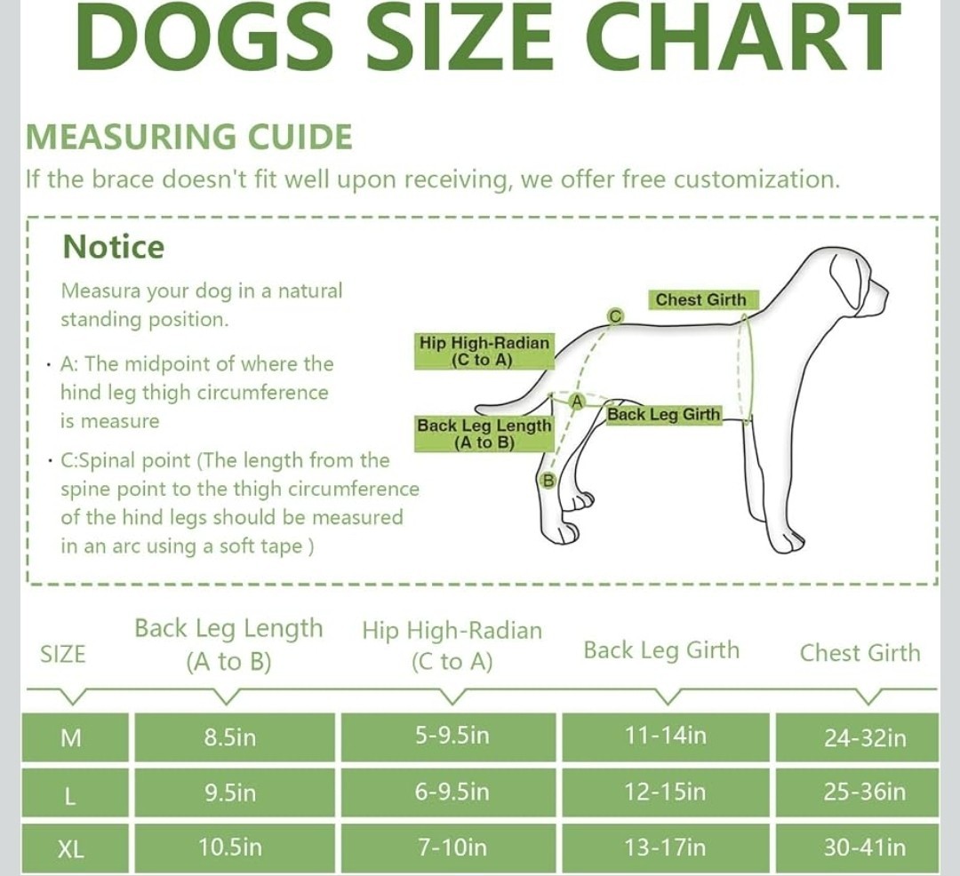 Adjustable Dog Knee Brace for Both Hind Legs – Acl/Ccl Support & Luxating Patell
