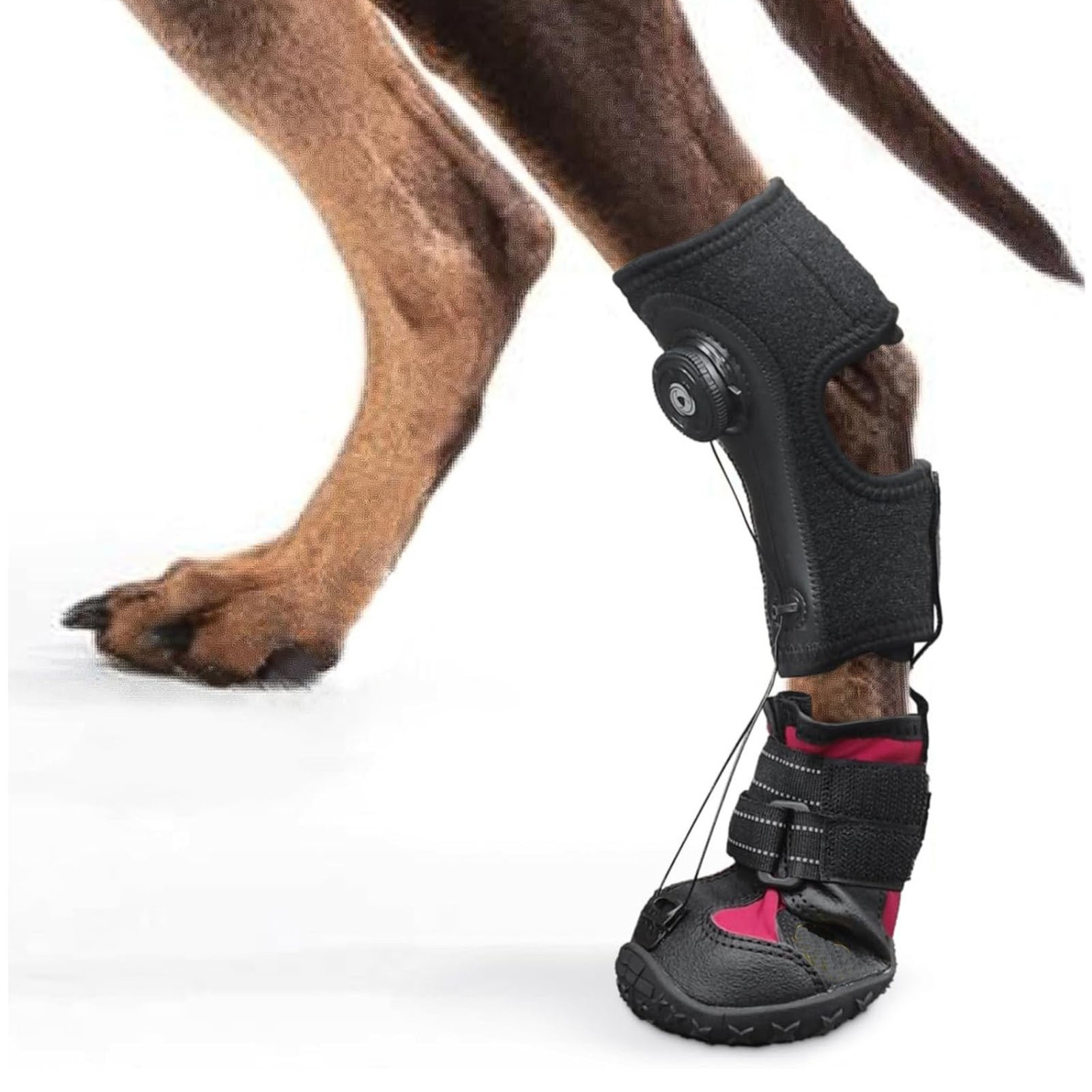 XL Dog Foot Brace Integrated Abrasion Proof Non Slip Sole Bottom Dog Boot