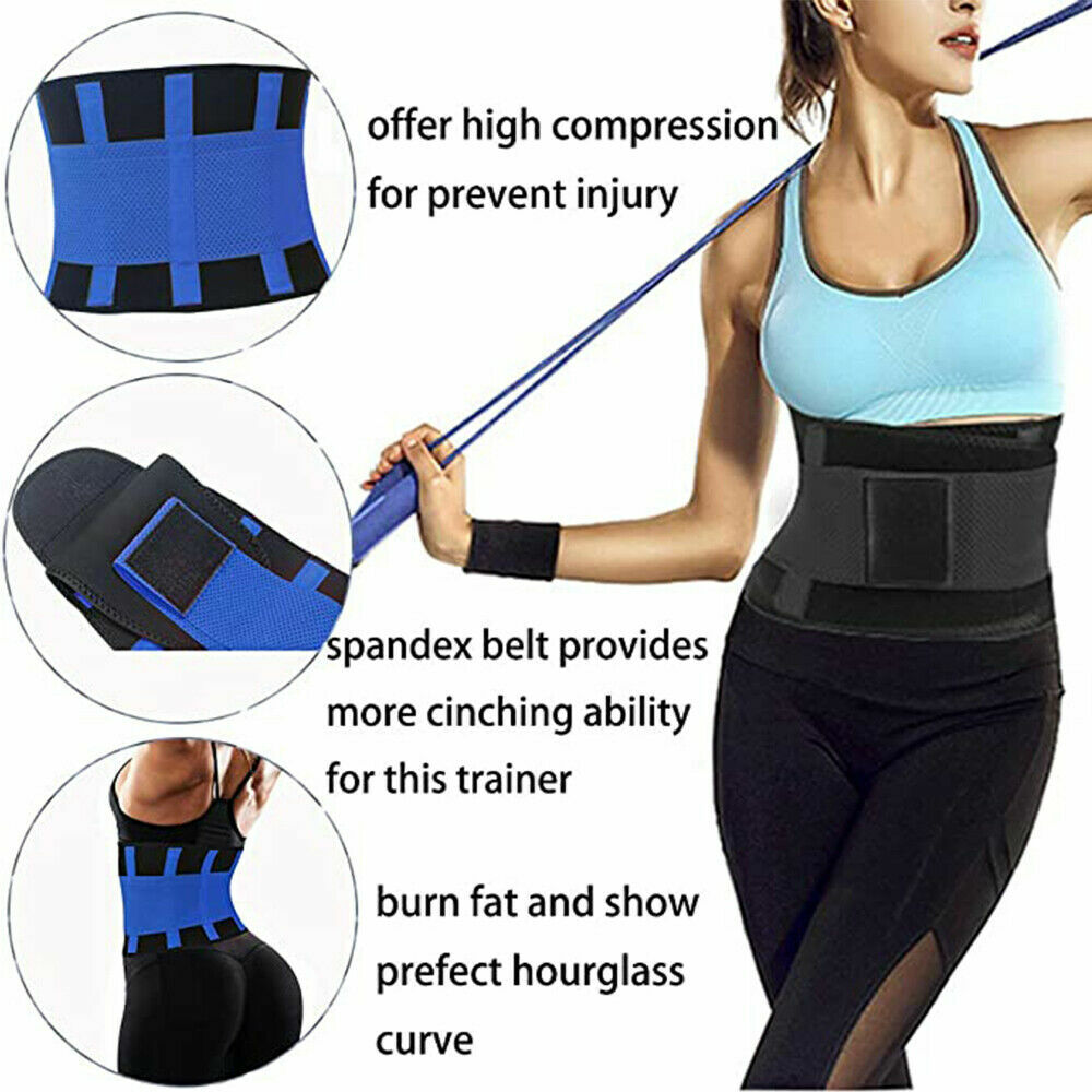 Lower Back Pain Brace Lumbar Support Waist Belt Scoliosis Work Gym For Men Women
