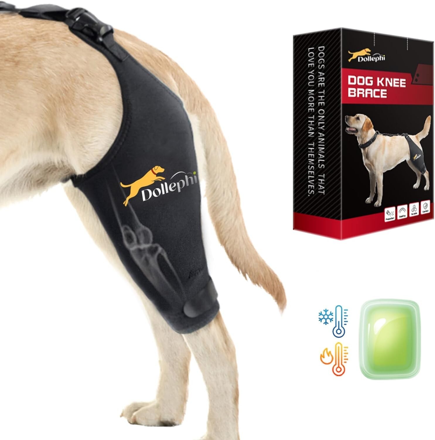 Knee Brace Torn ACL Hot/Cold Compress Medium & Large Dog Right Leg Medium