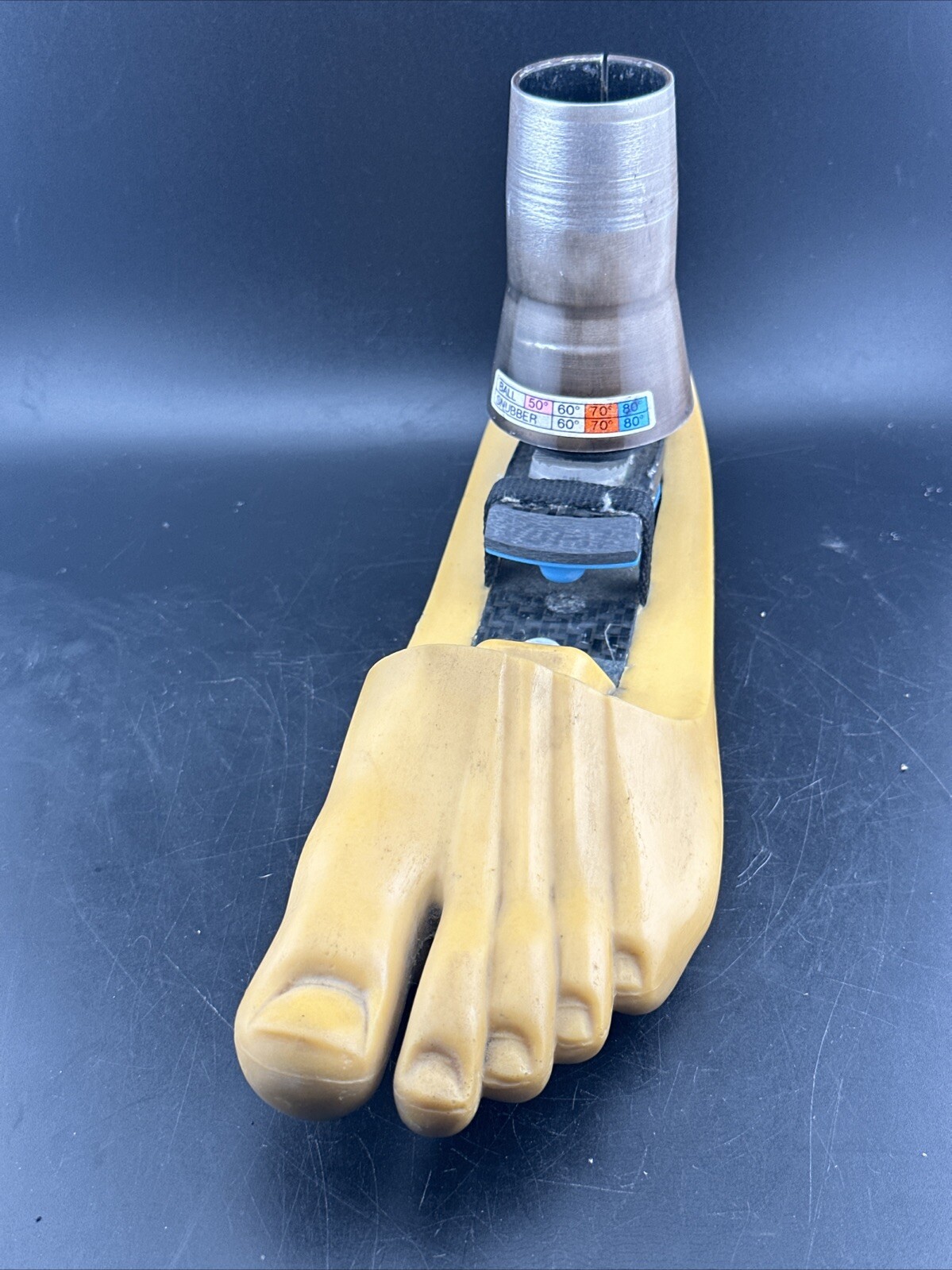 Endolite Blatchford Multiflex Multi Flex Size 29 DR-2 Prosthetic Foot