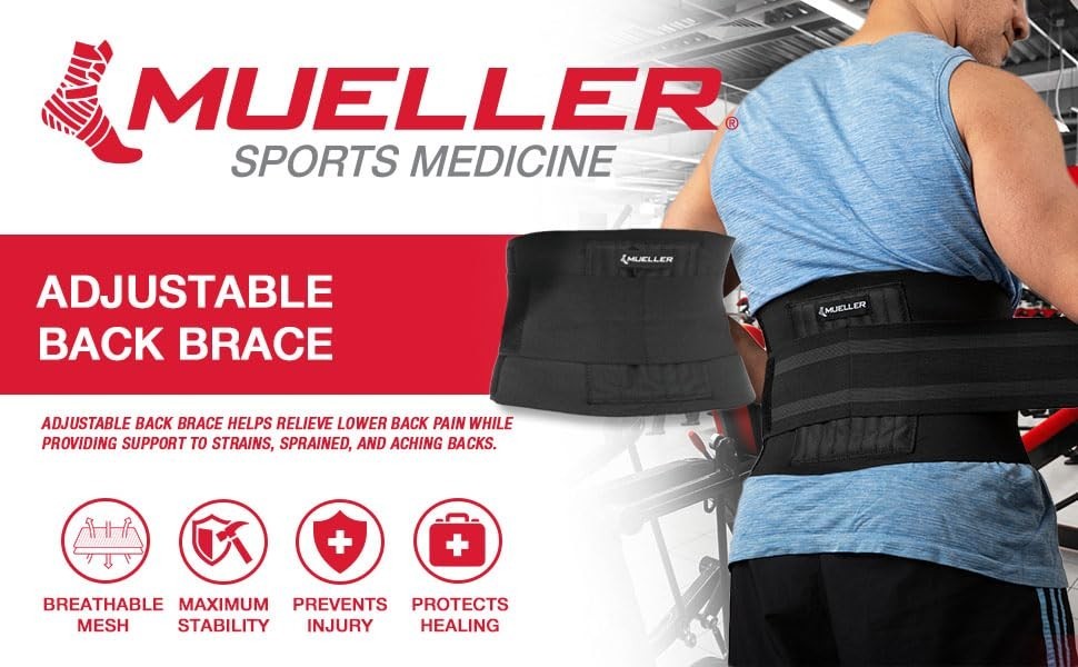 Adjustable Back Brace for Upper & Lower Back Pain Relief, Support for Sciatica,