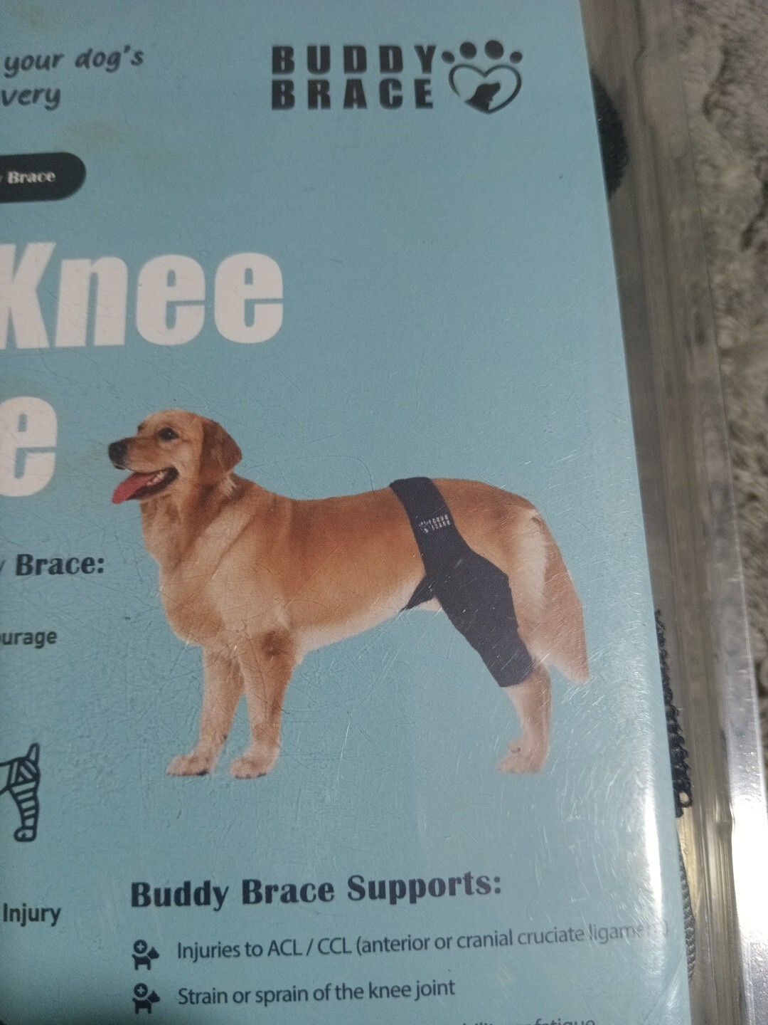 Dog Knee Brace, Dog Leg Brace Dog ACL Brace Hind Leg, Dog Hip Brace, Size: Large
