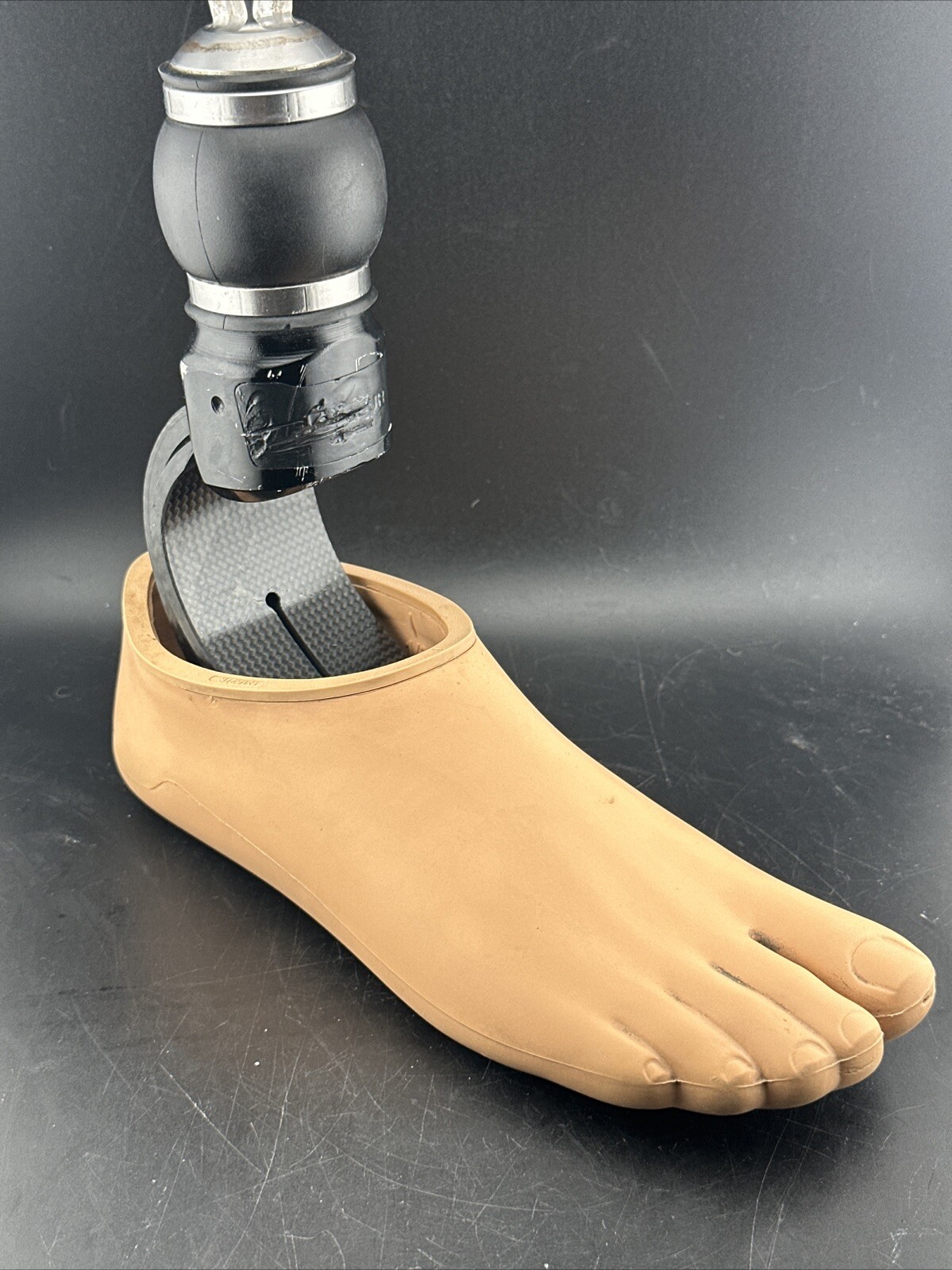 Ossur Pro-flex Proflex Pro Flex Torsion Prosthetic Foot Right Size 26 Category 6