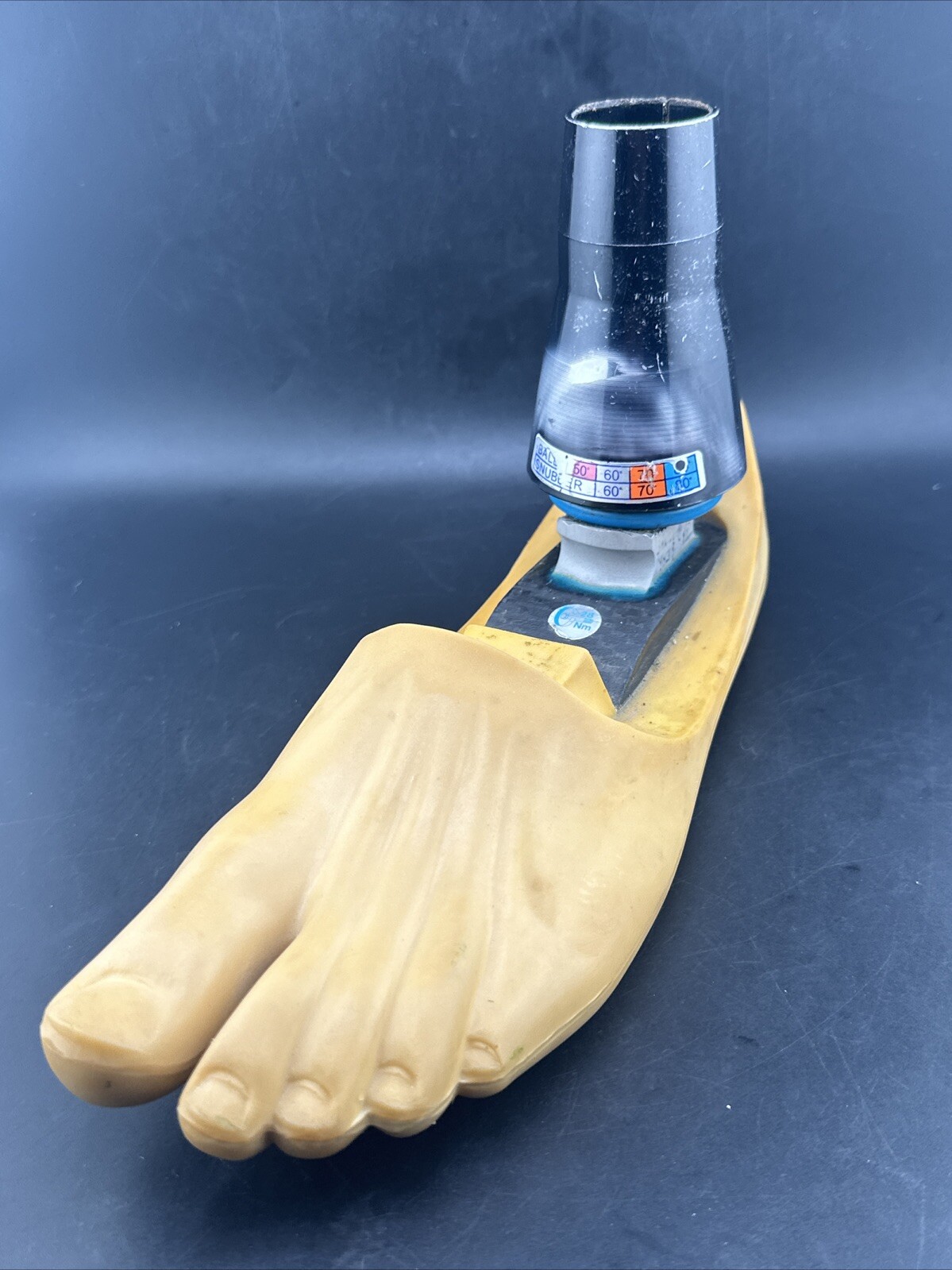 Blatchford Endolite Multiflex Multi Flex Prosthetic Foot. Left Size 26 Good Cond