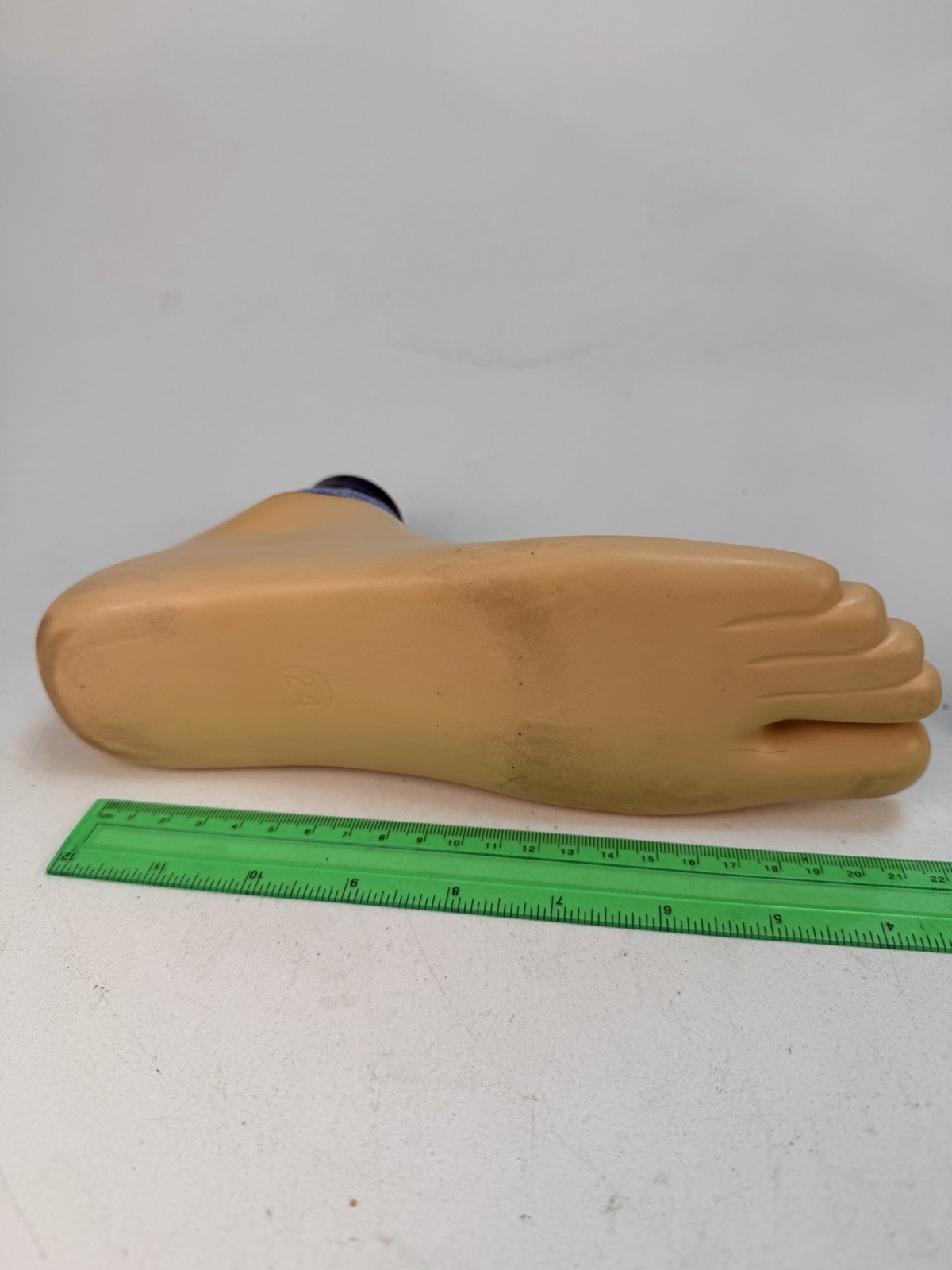 Blatchford Avalon Hydraulic 24cm Right Prosthetic Foot